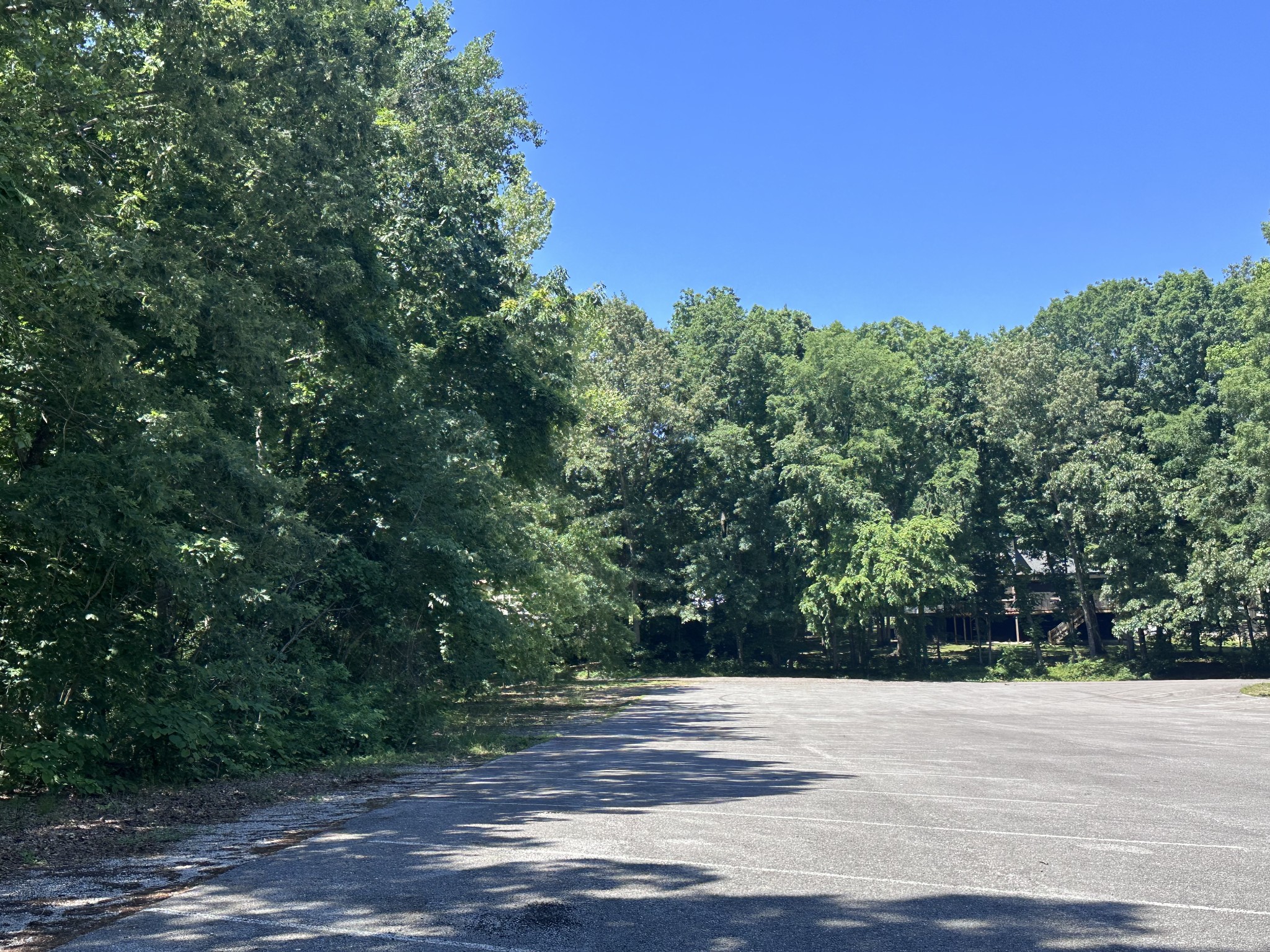 126 Trotters Cir