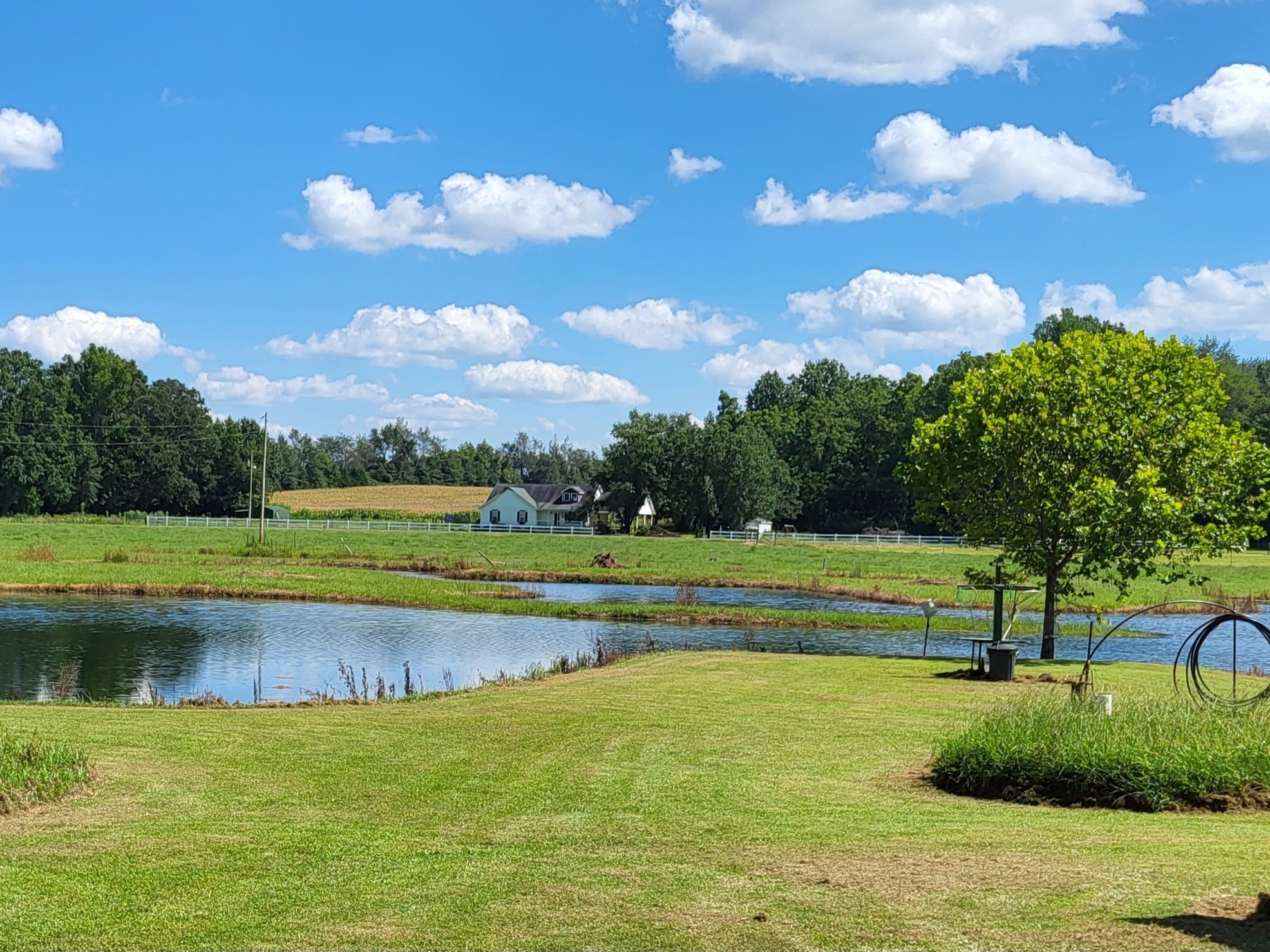 967 Mud Creek Rd