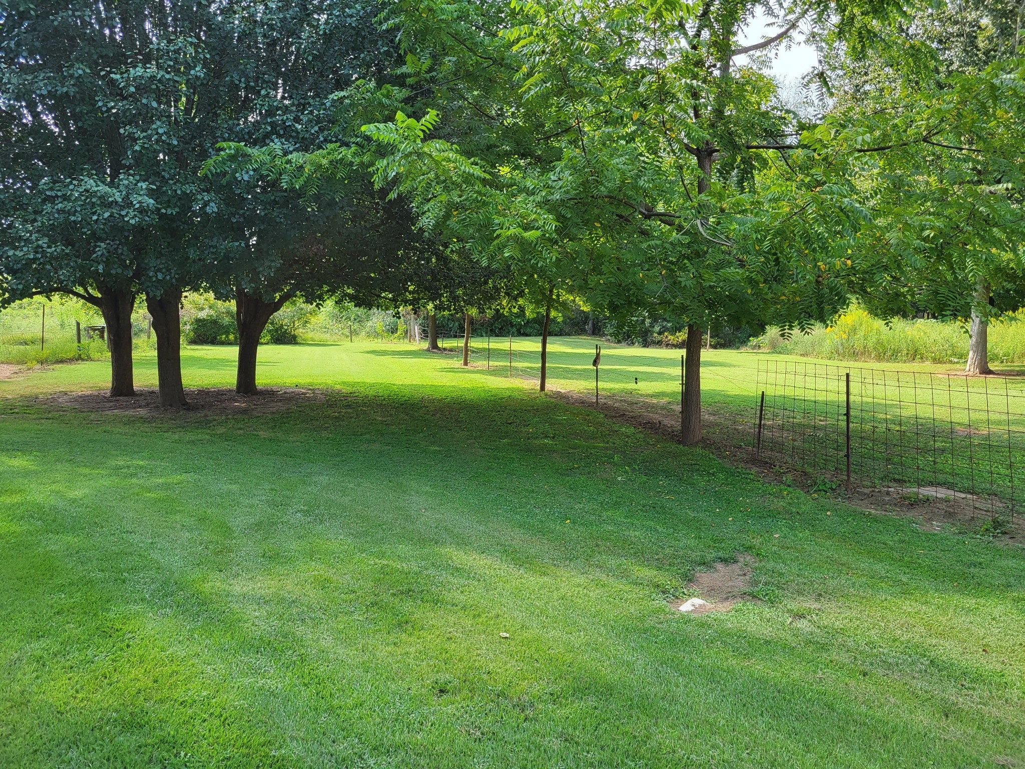 967 Mud Creek Rd