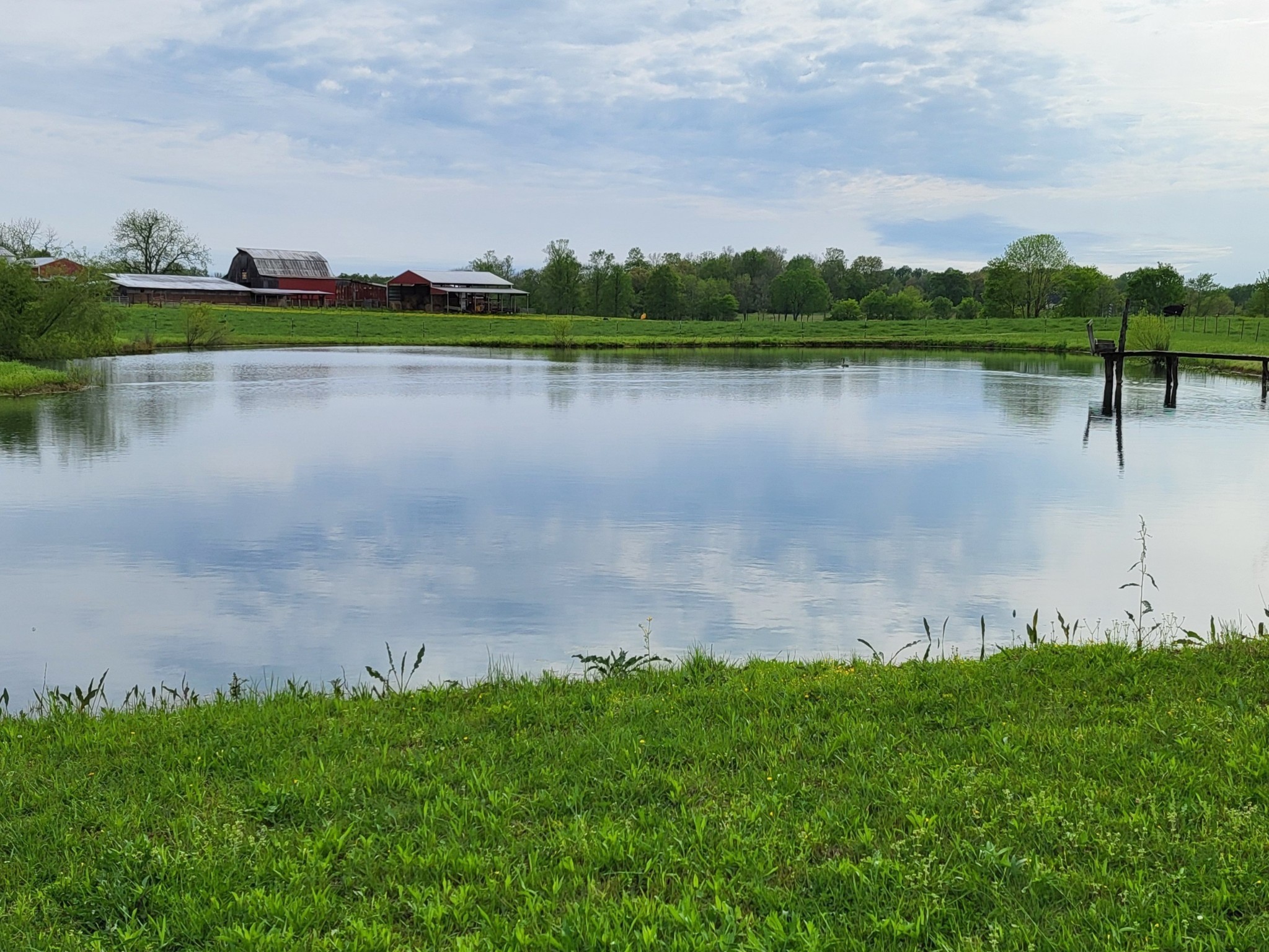 967 Mud Creek Rd