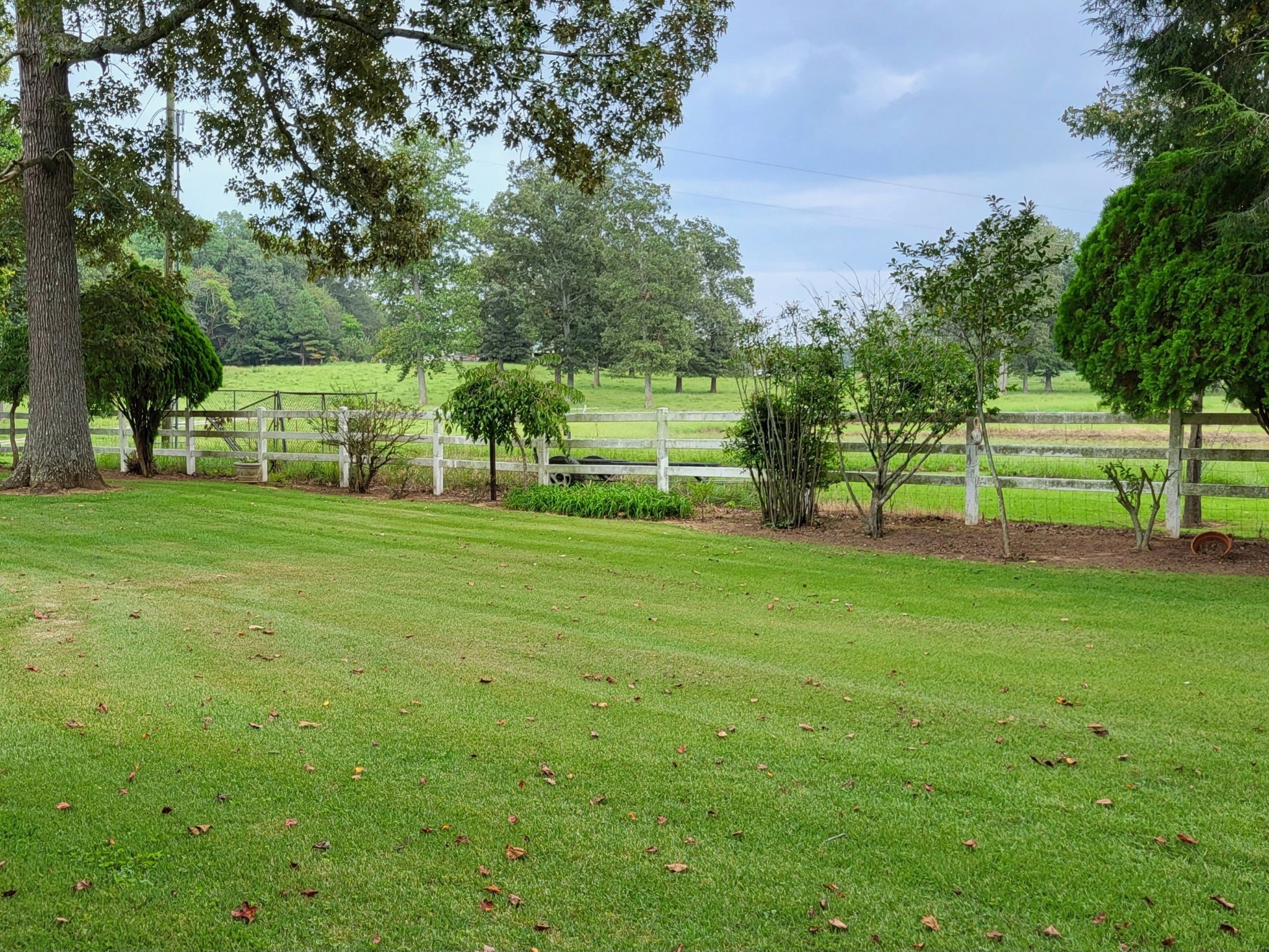 967 Mud Creek Rd