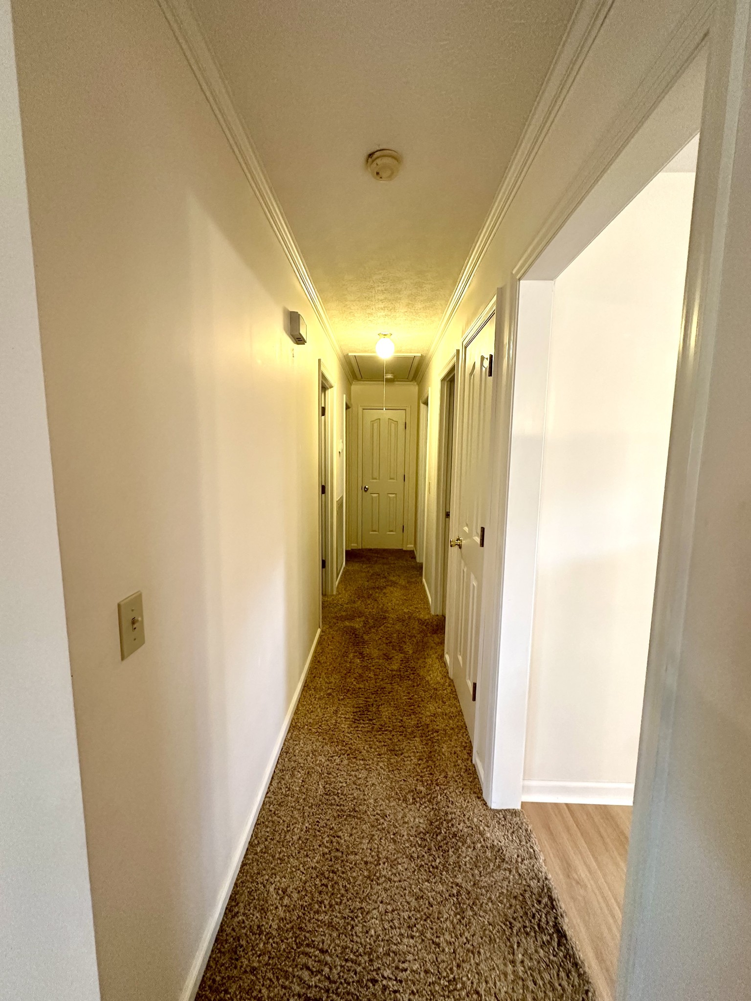 102 Keri Dr