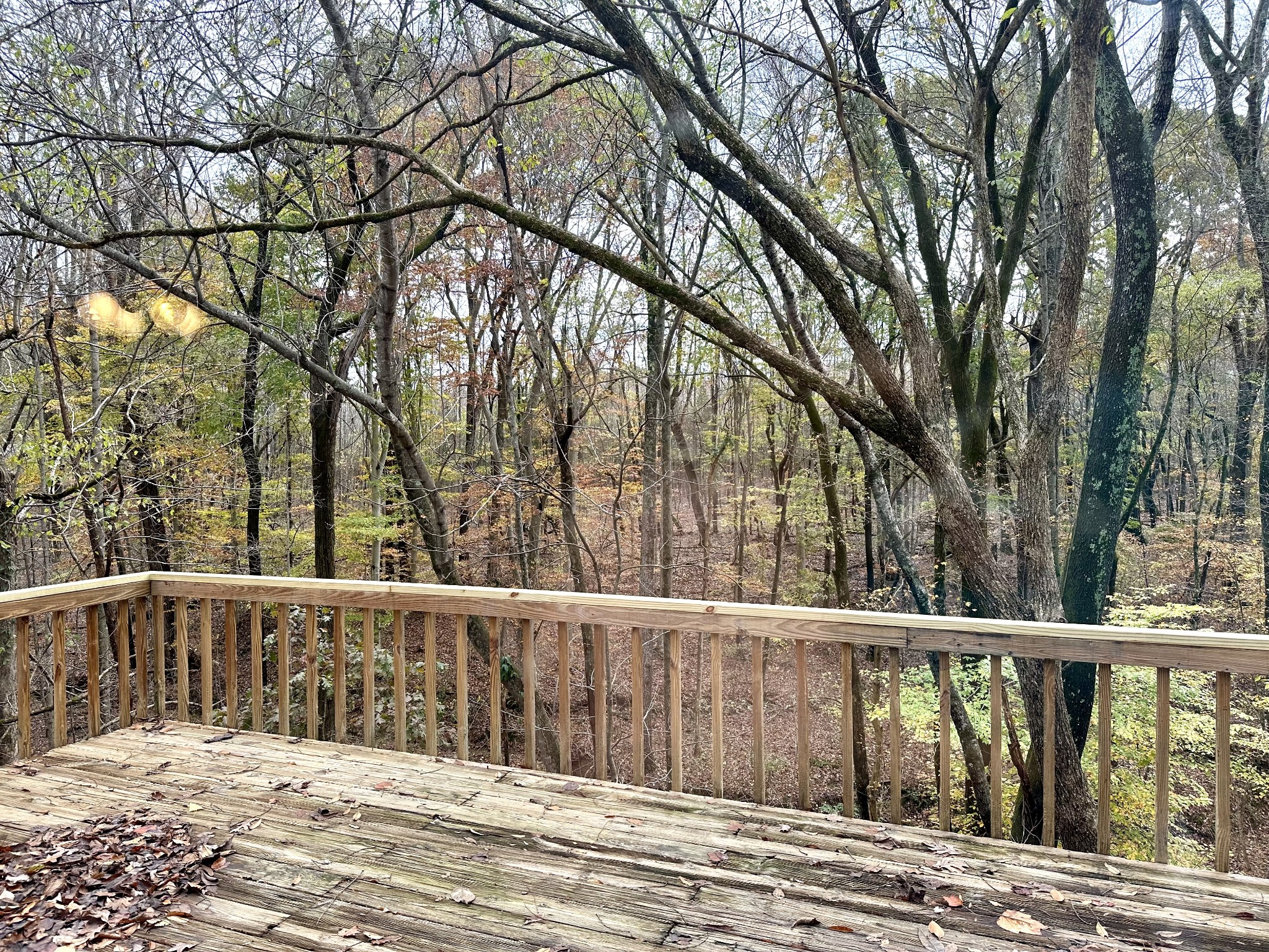 102 Keri Dr