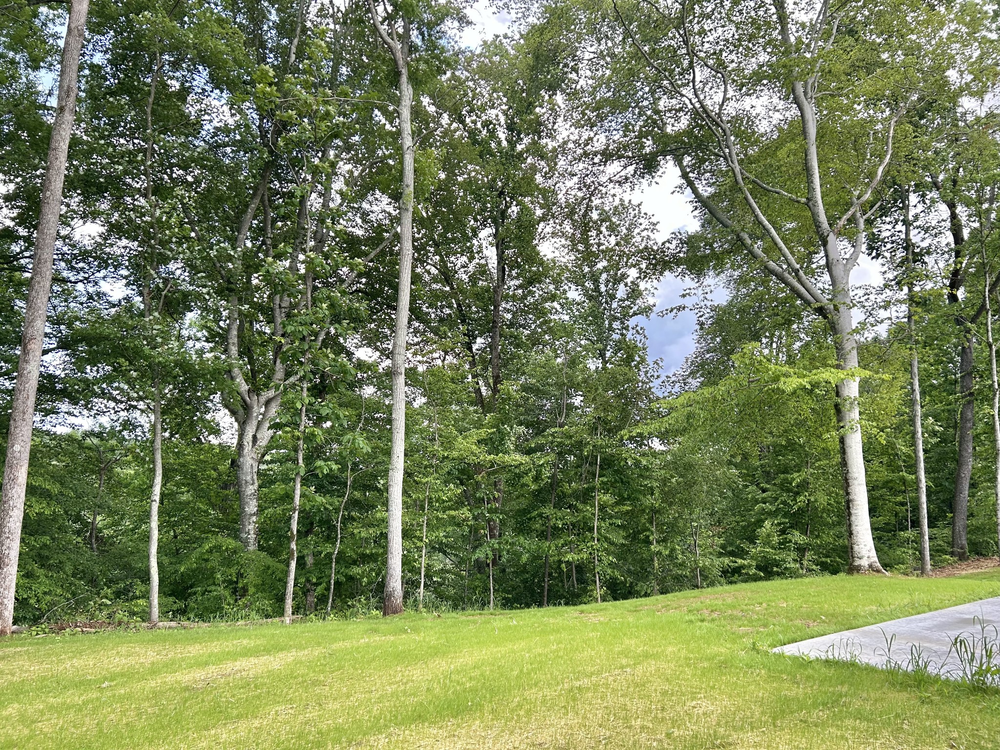 112 Beechwood Drive