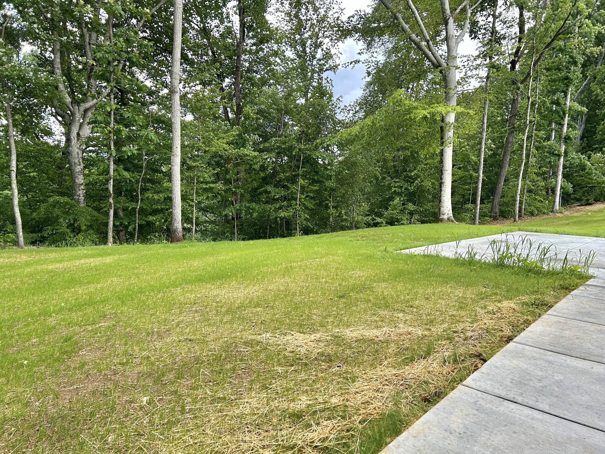 112 Beechwood Drive