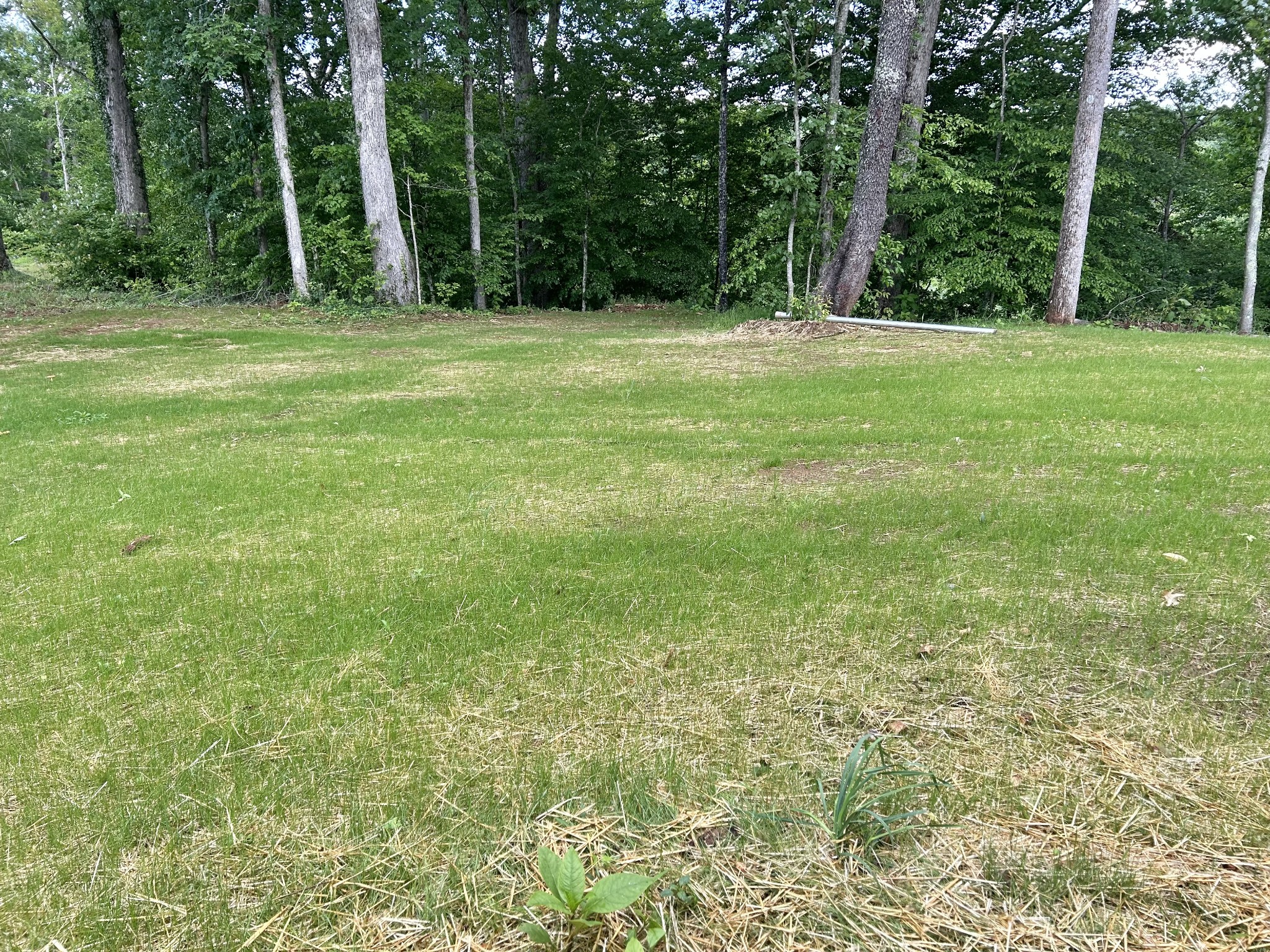 112 Beechwood Drive