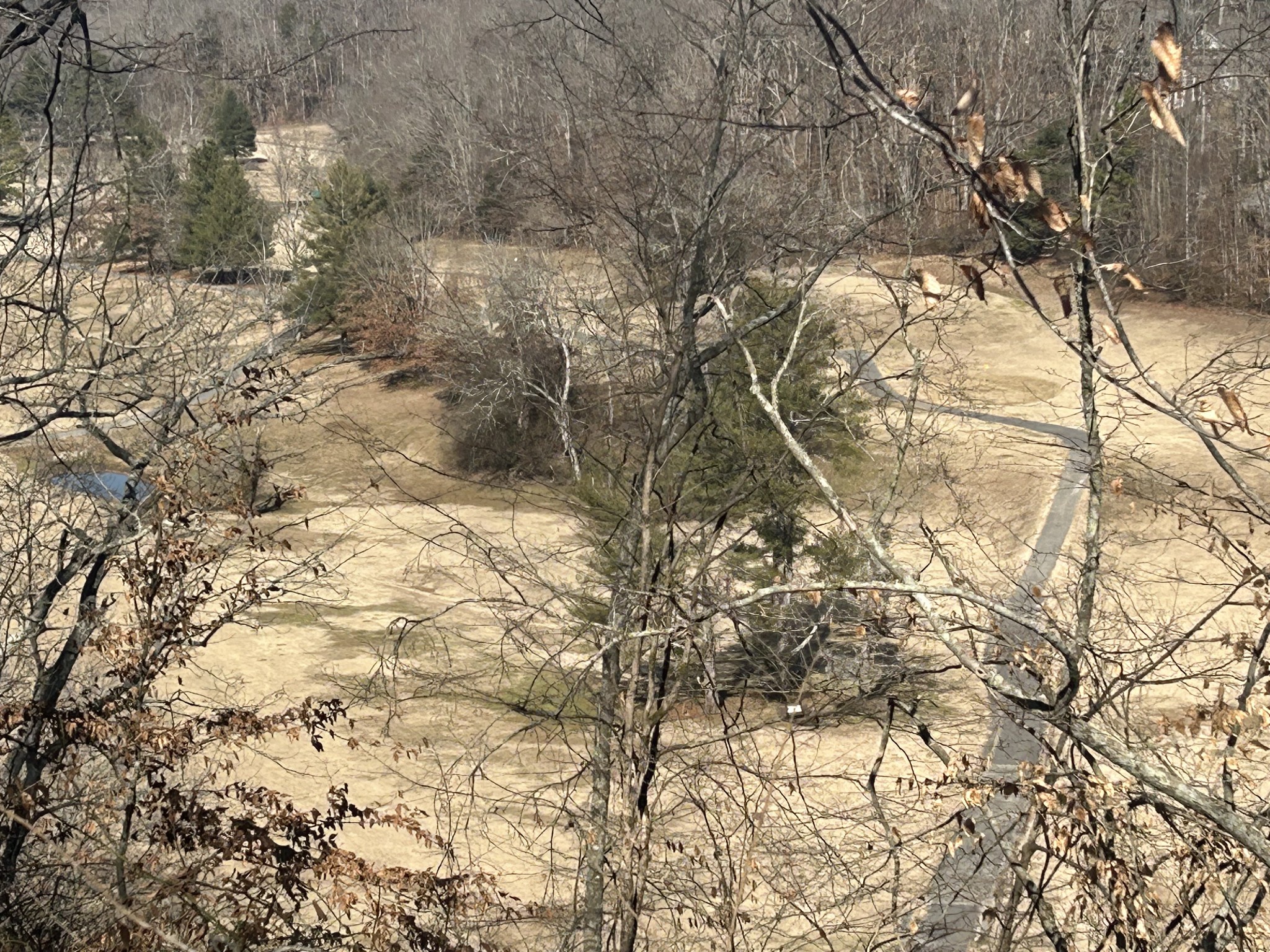 112 Beechwood Drive