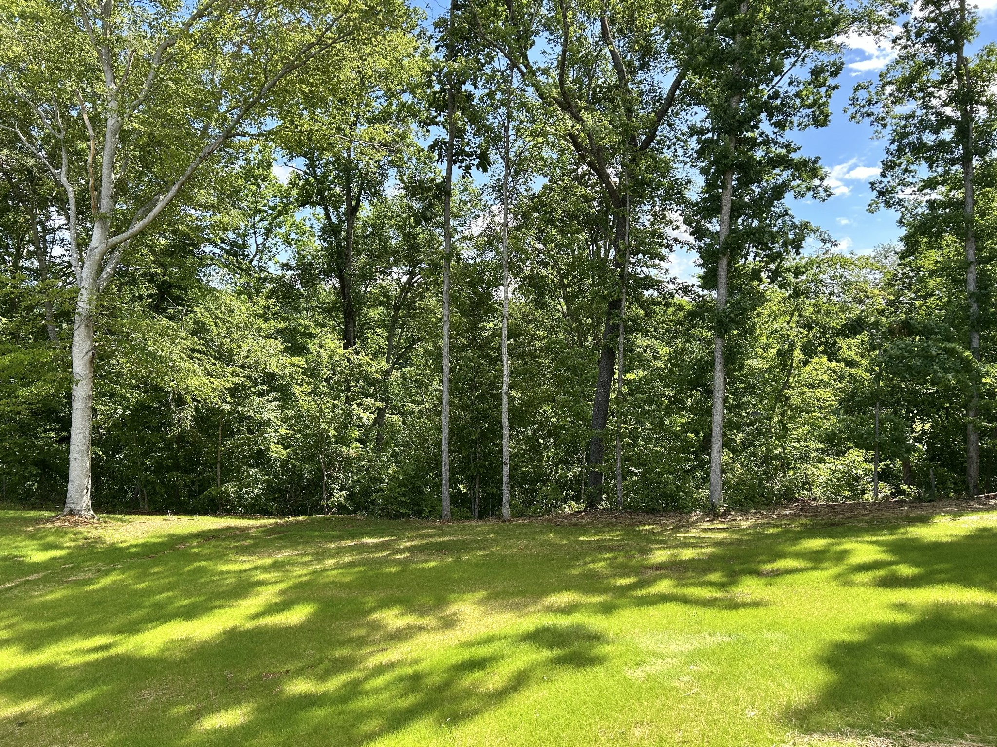 92 Beechwood Drive