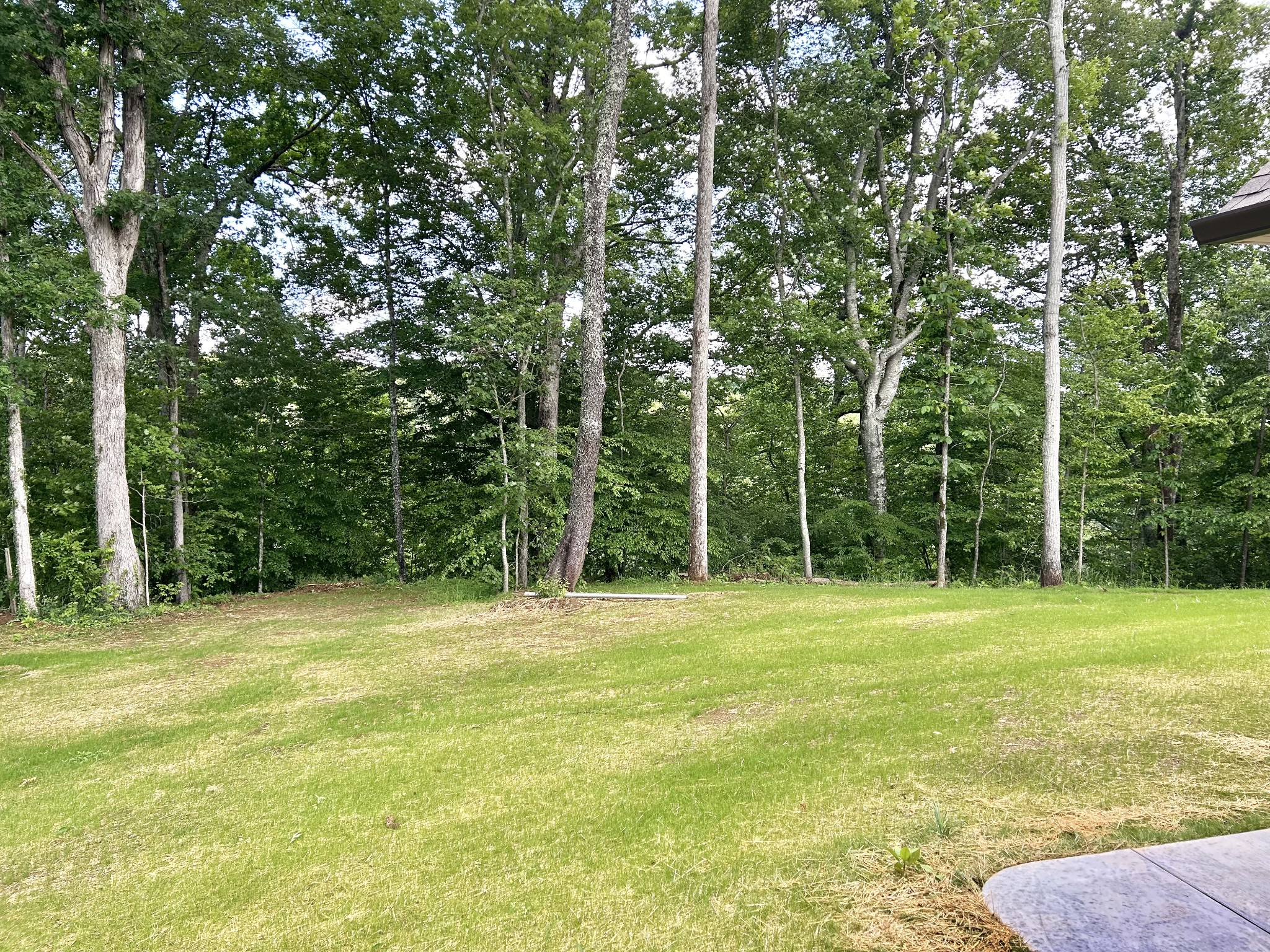 92 Beechwood Drive