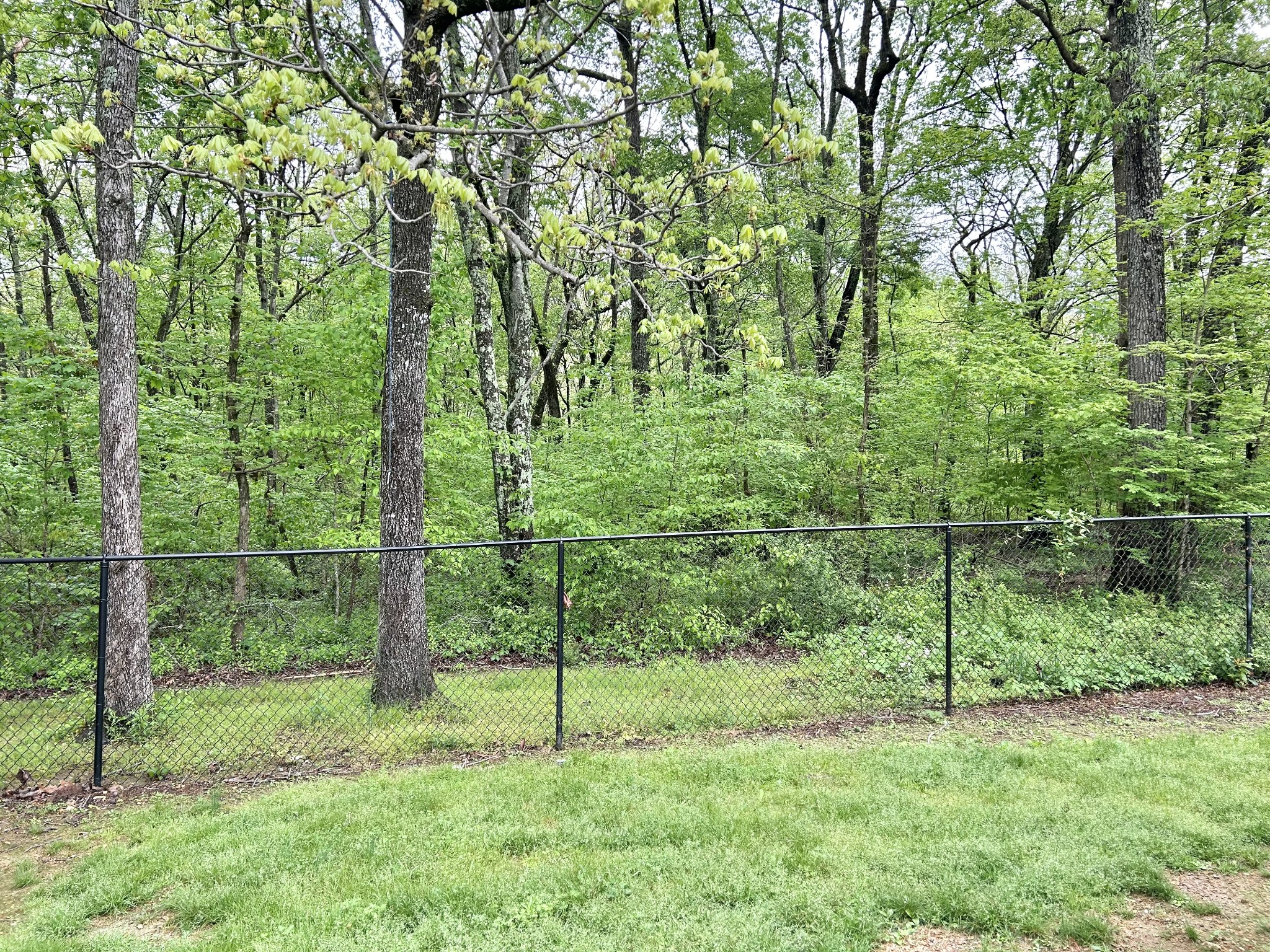 403 Bryan Blvd