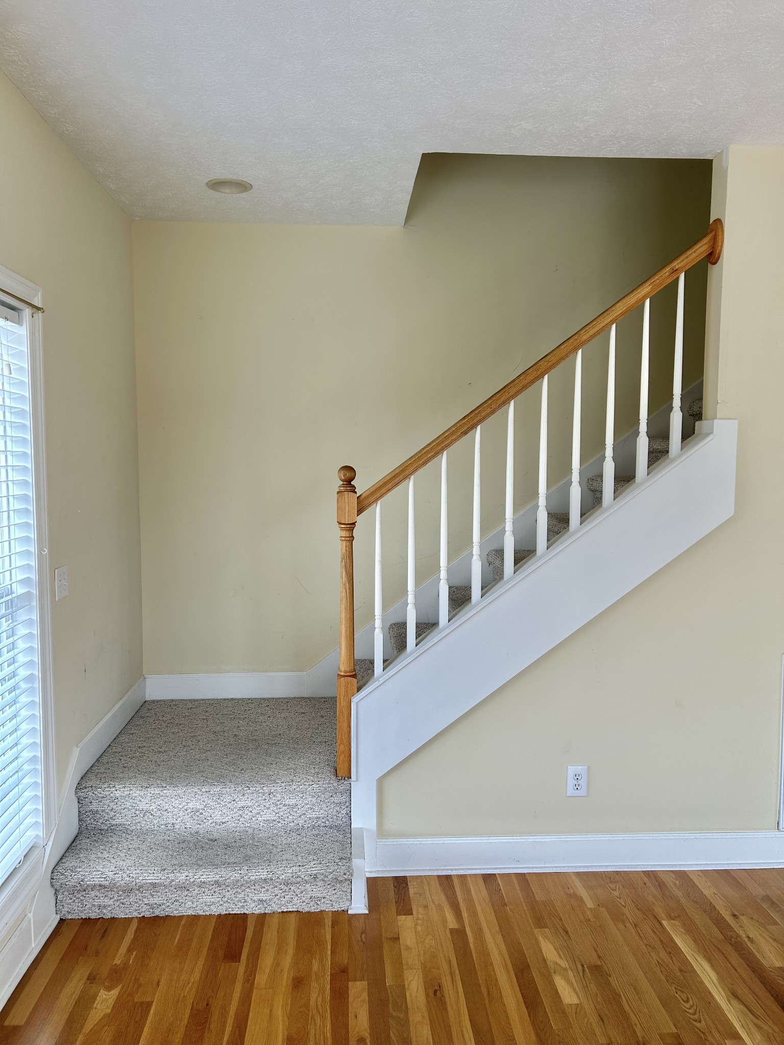 214 Mitchell Ln