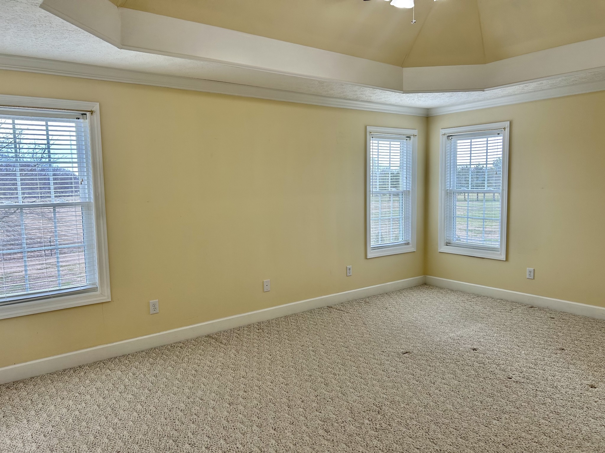 214 Mitchell Ln