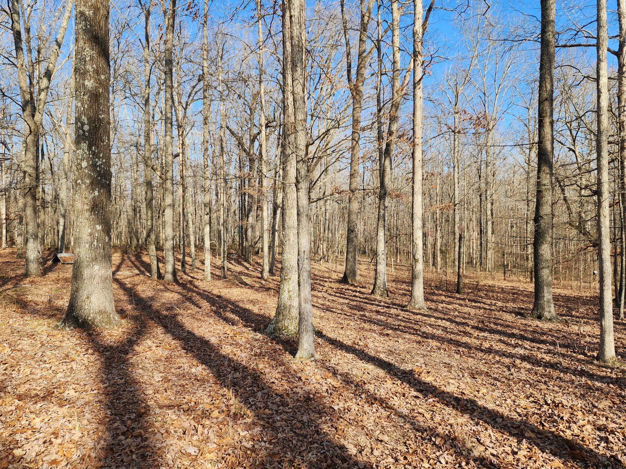 3751 Ledford Mill Rd