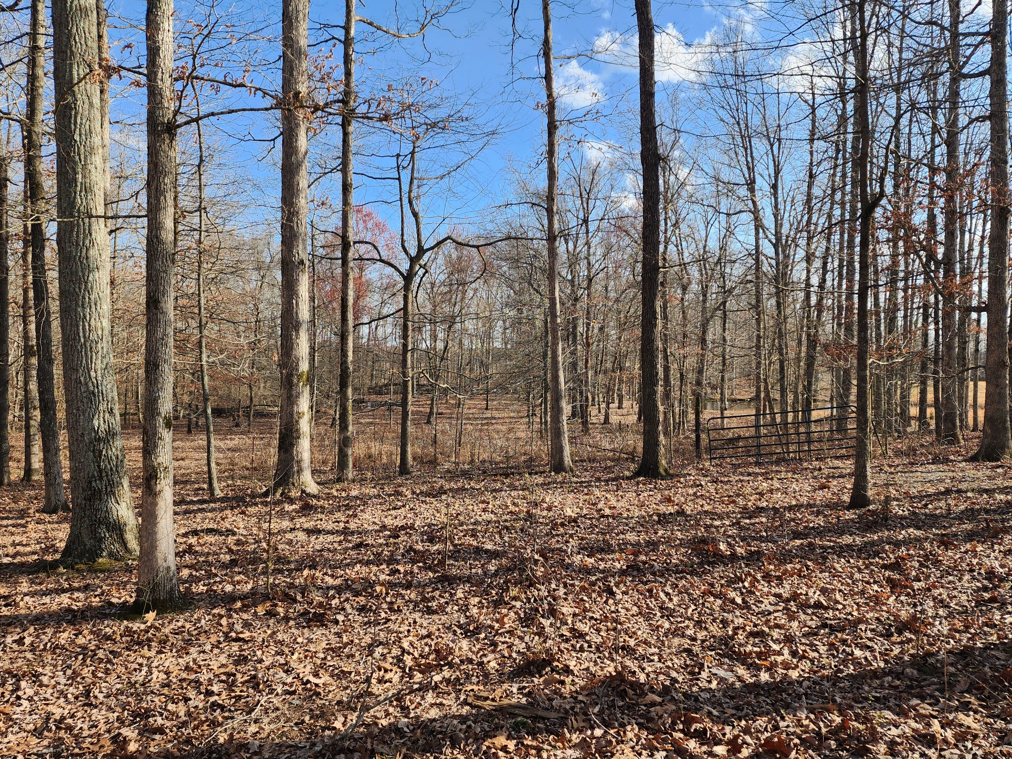 3751 Ledford Mill Rd
