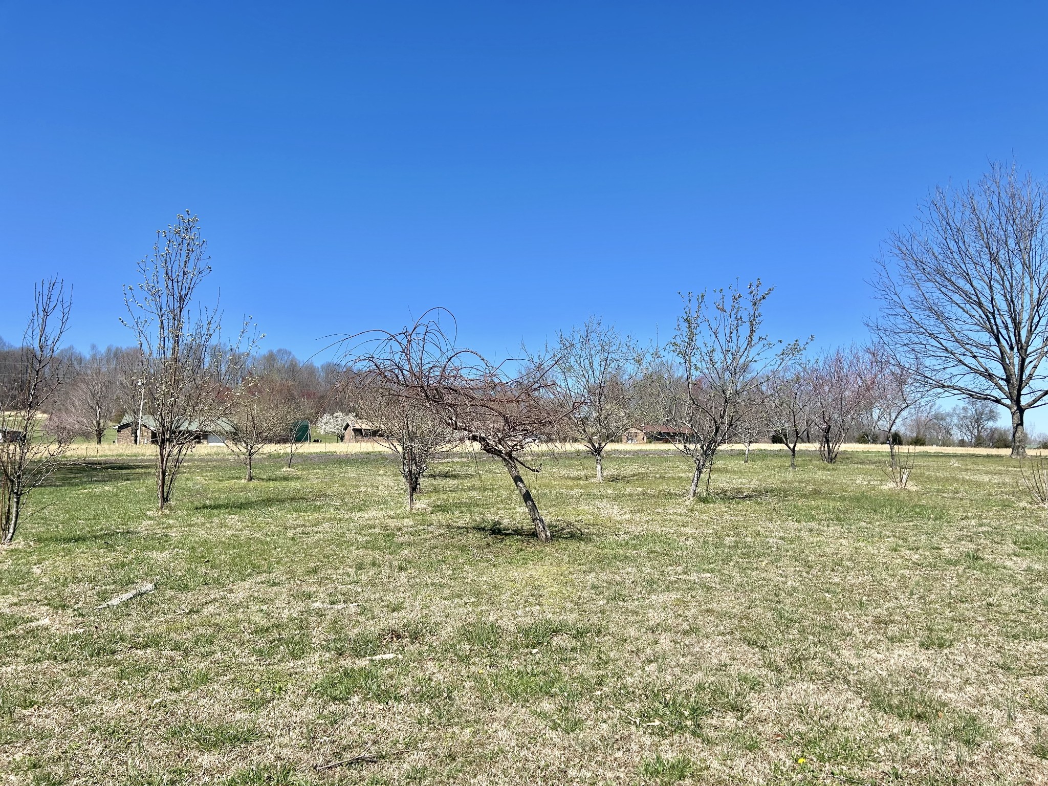 10268 Ragsdale Rd