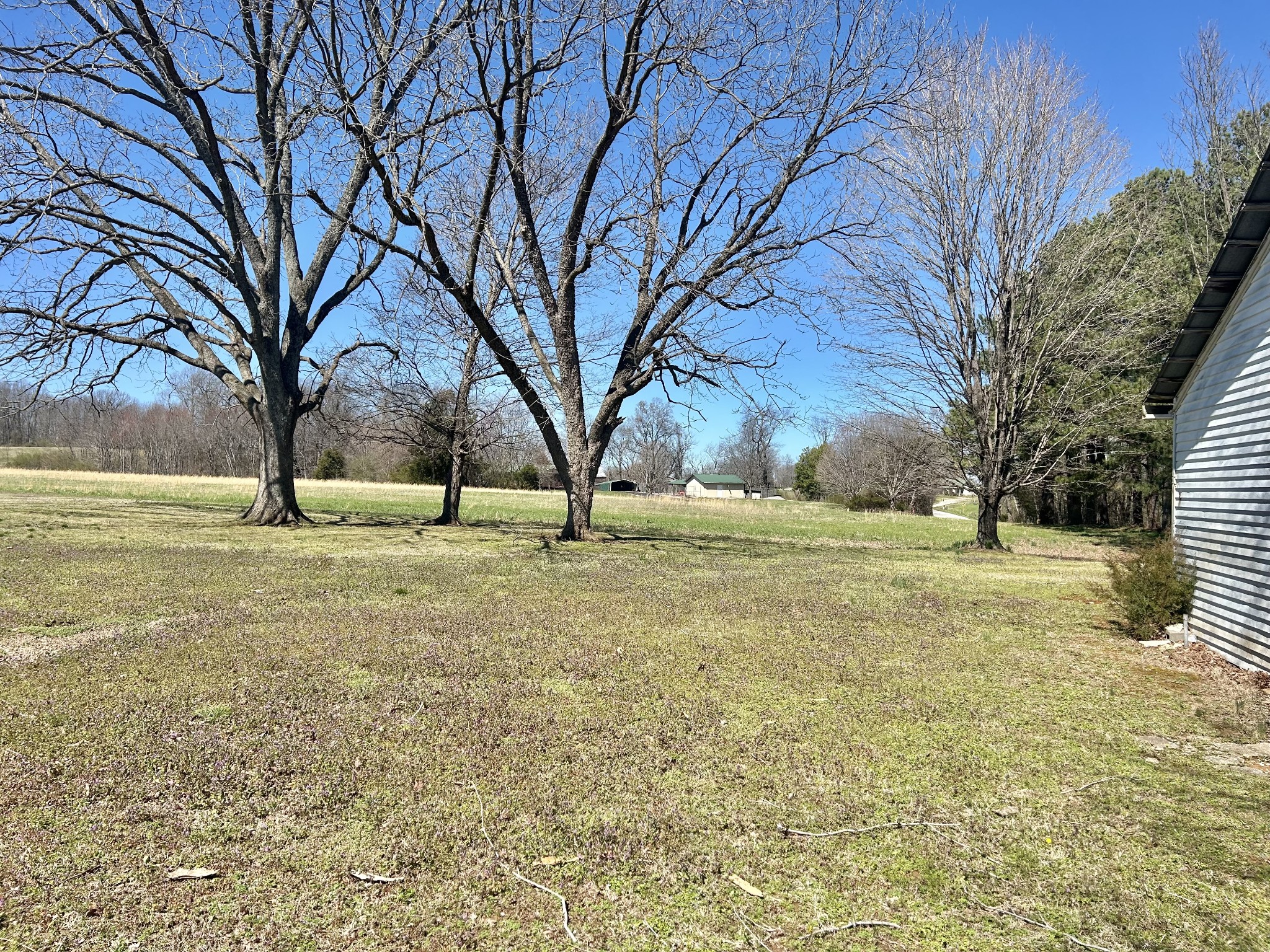 10268 Ragsdale Rd