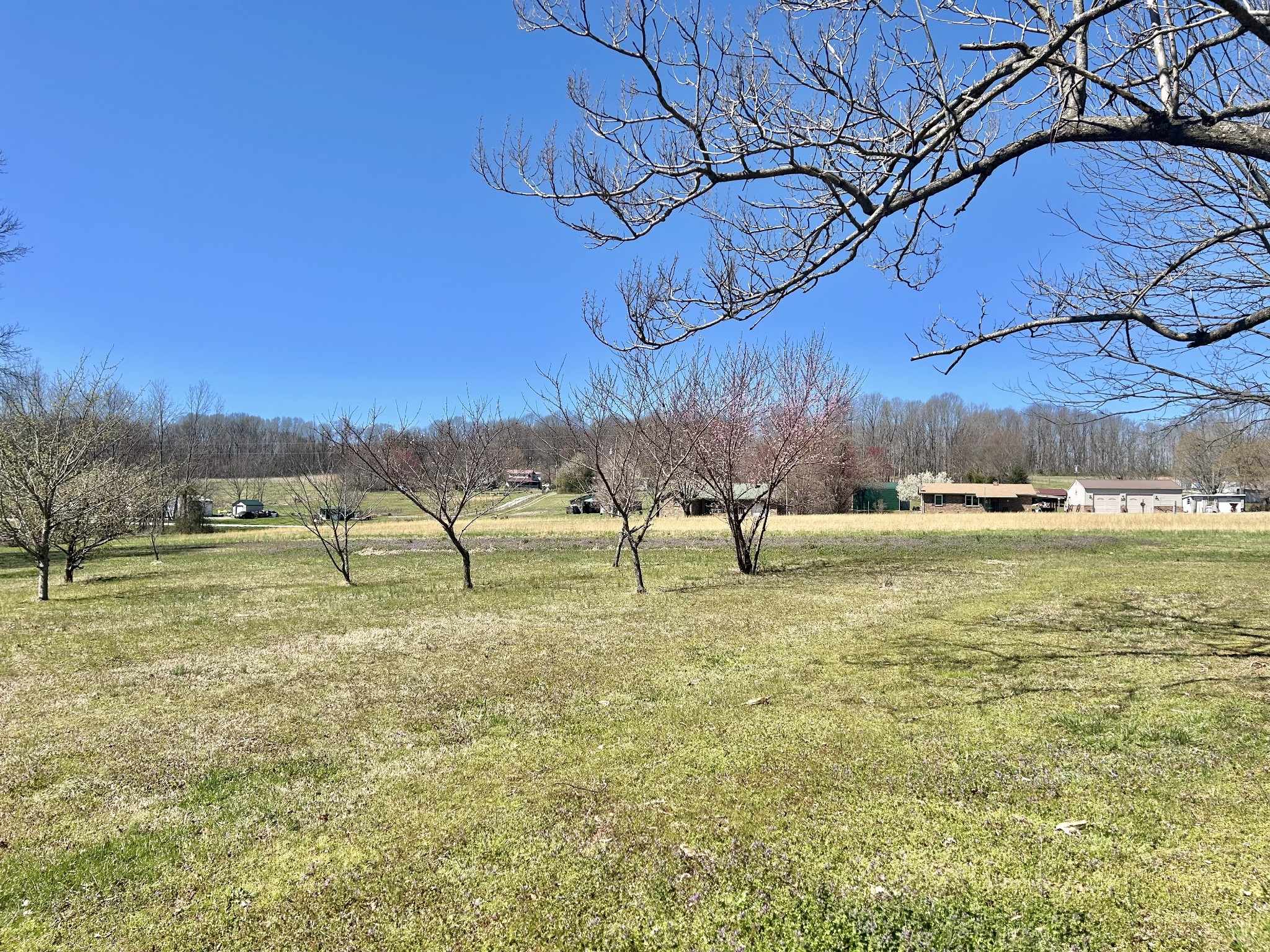 10268 Ragsdale Rd