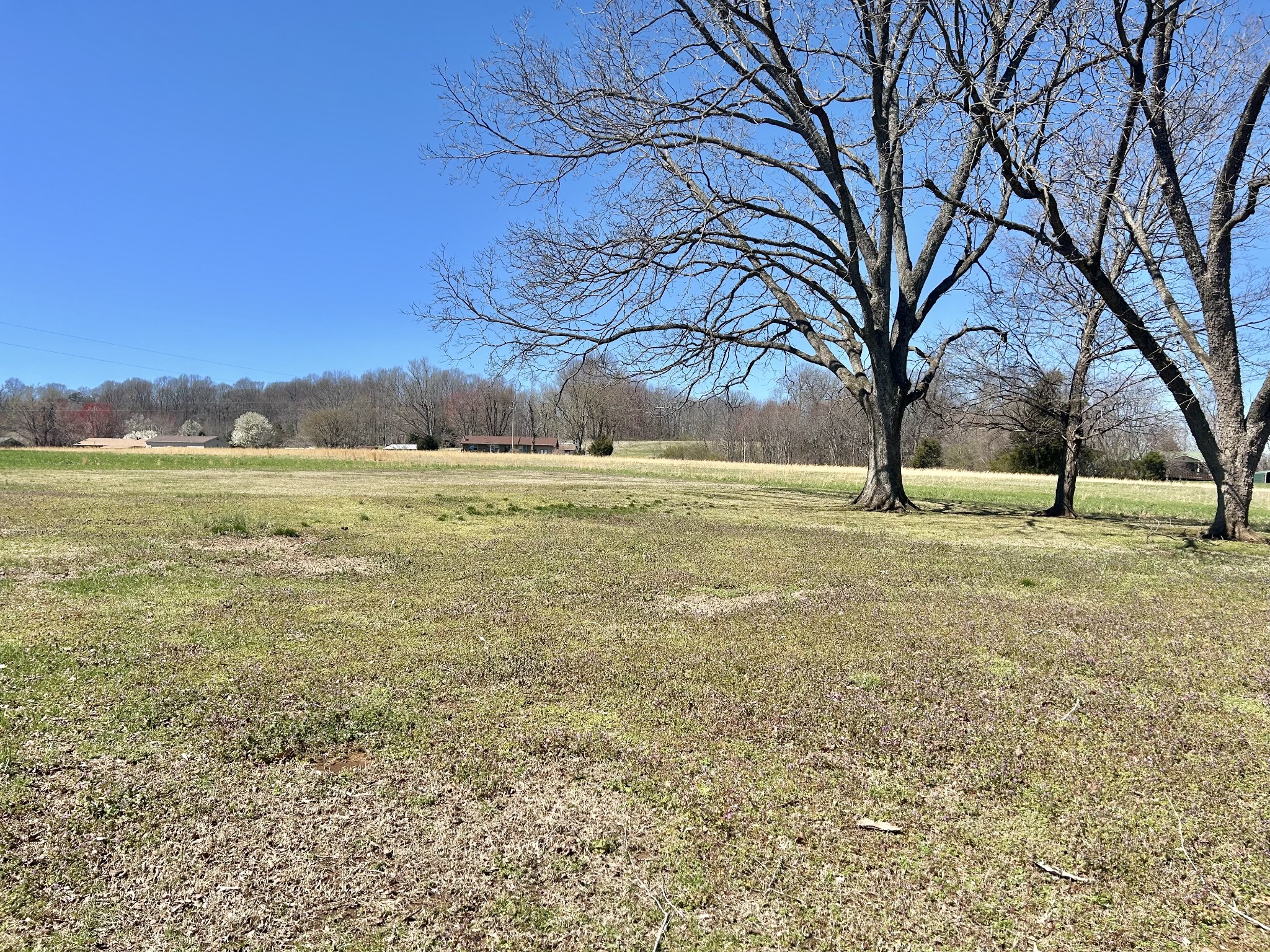 10268 Ragsdale Rd