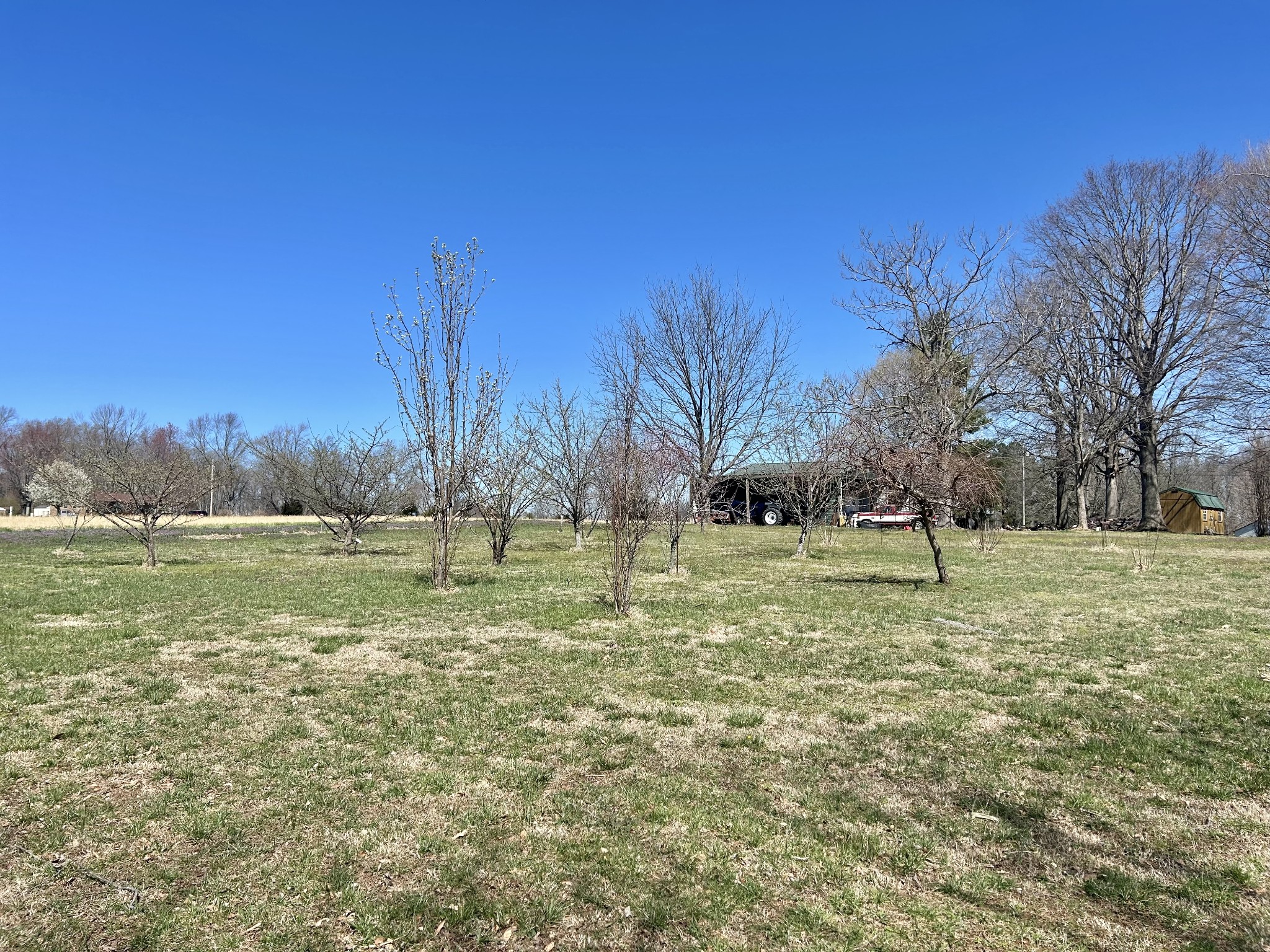 10268 Ragsdale Rd