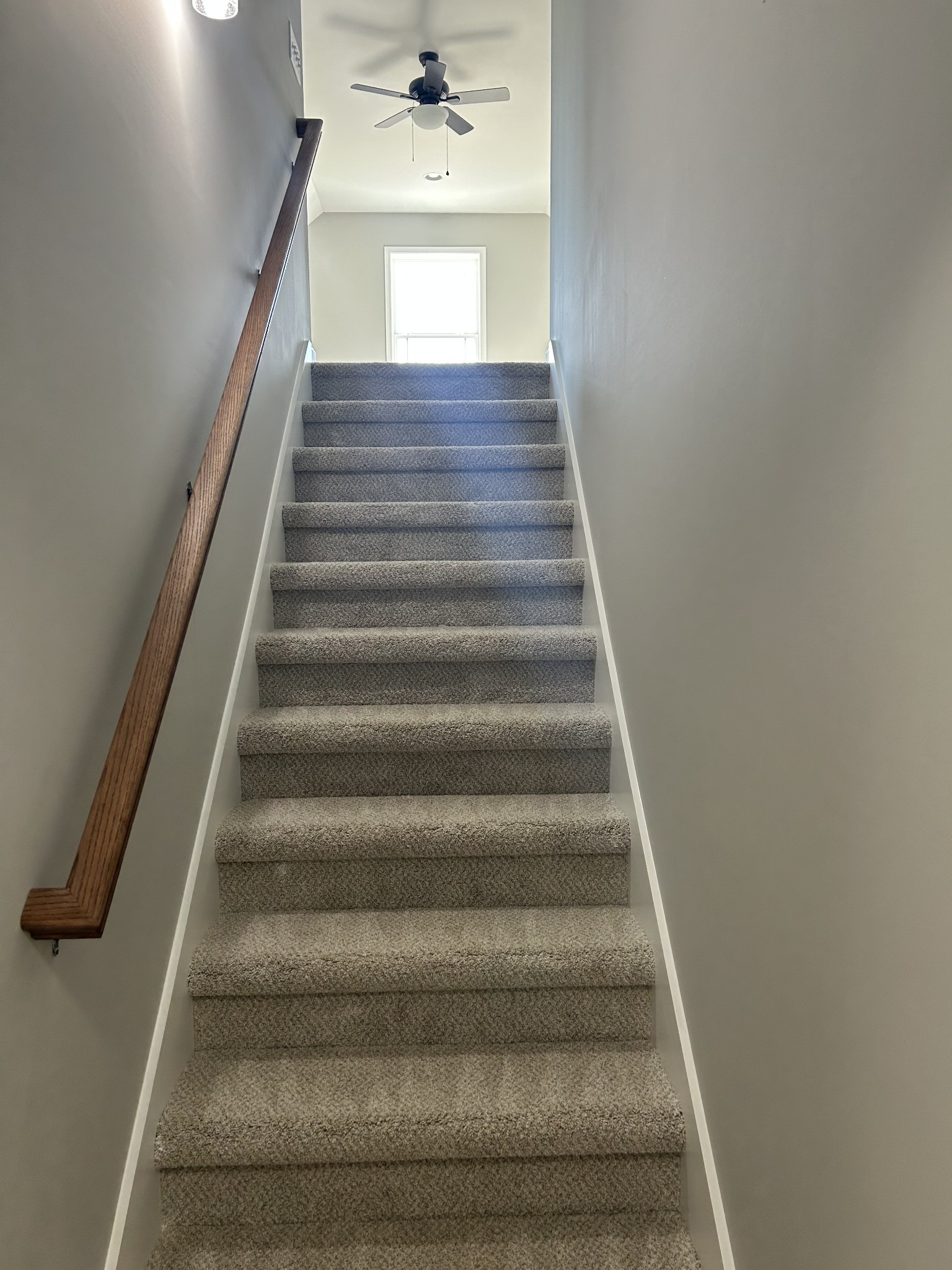 408 Randall Ln