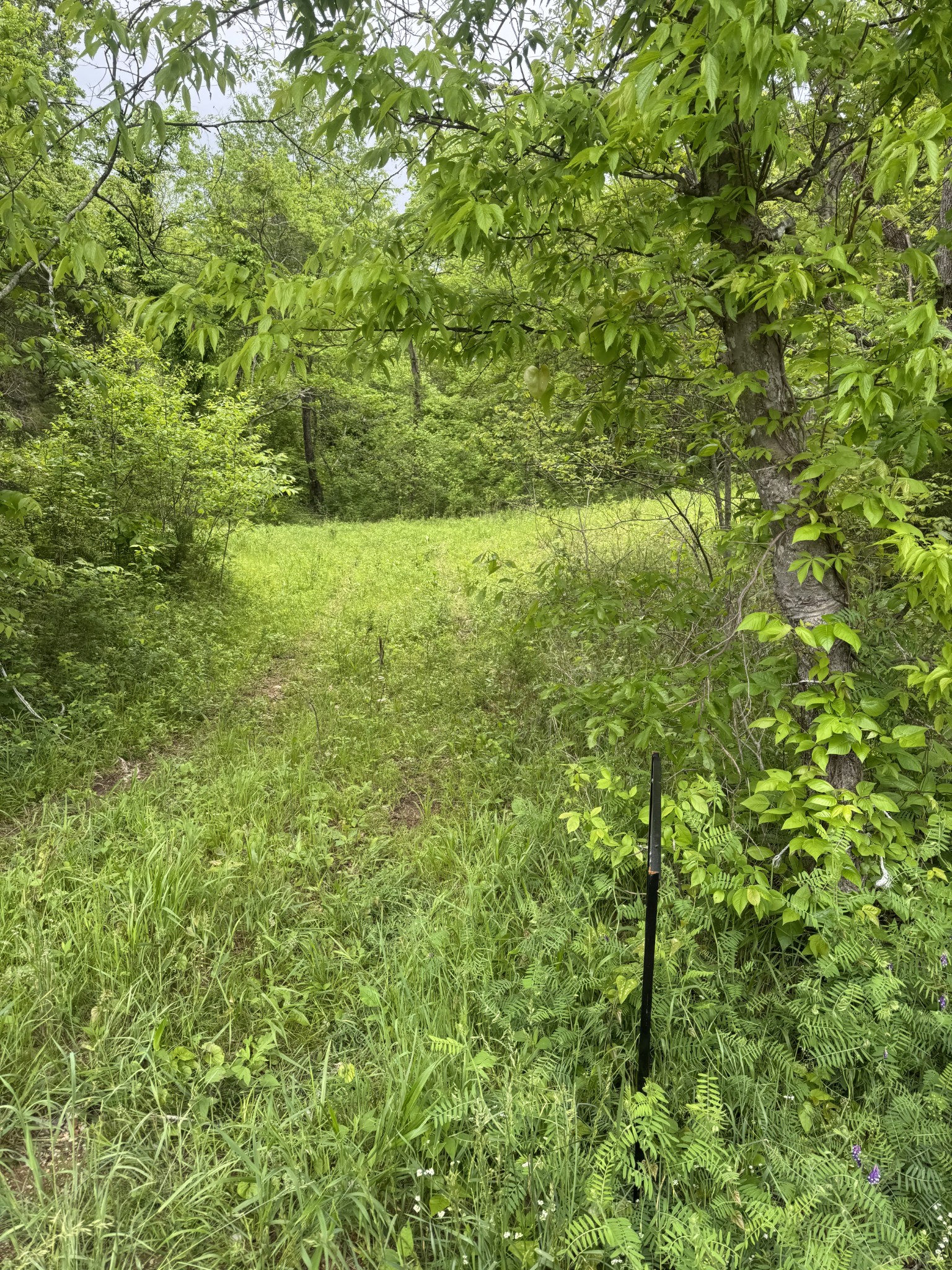 0 Panhandle Road