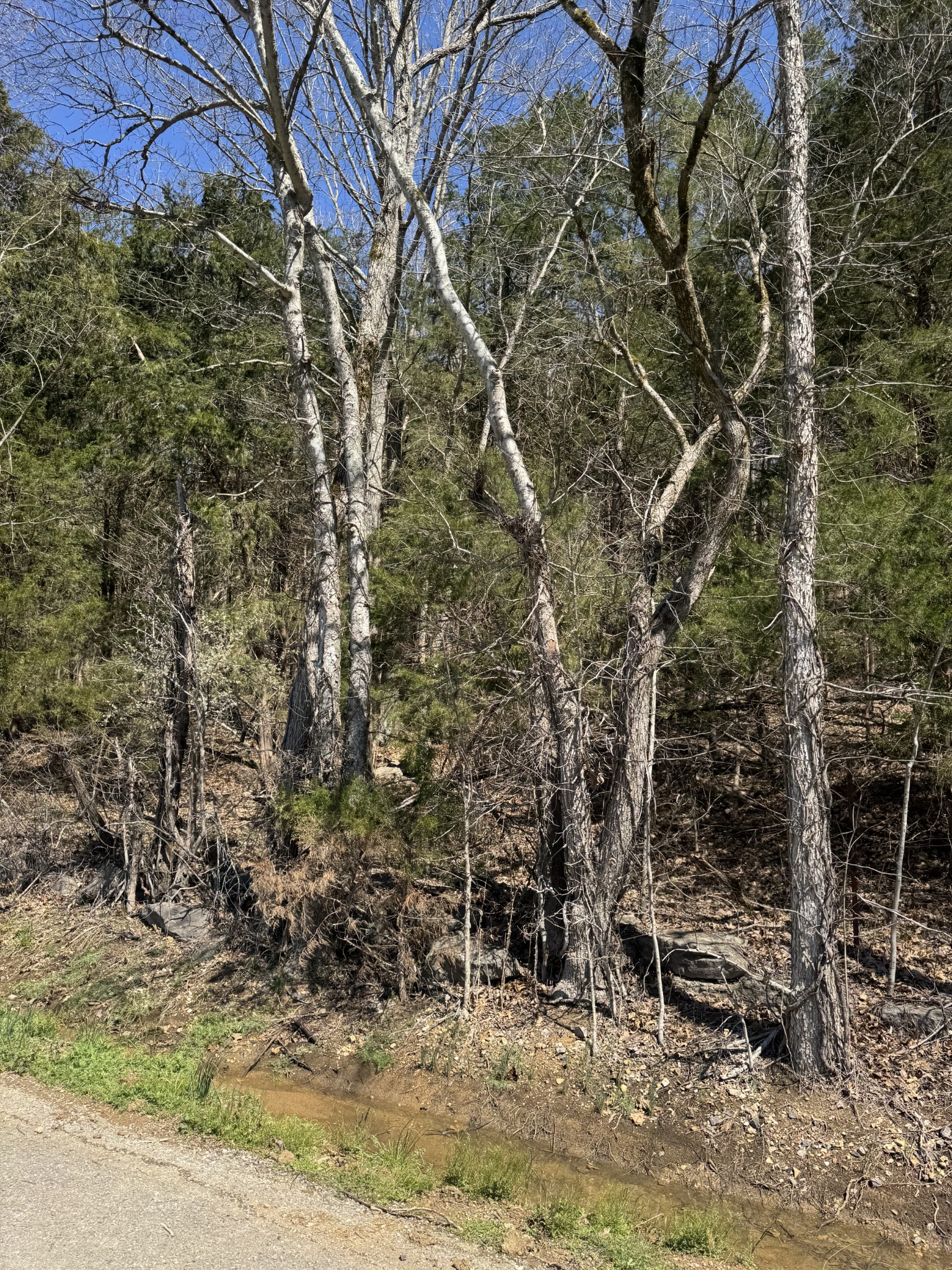 0 Panhandle Road