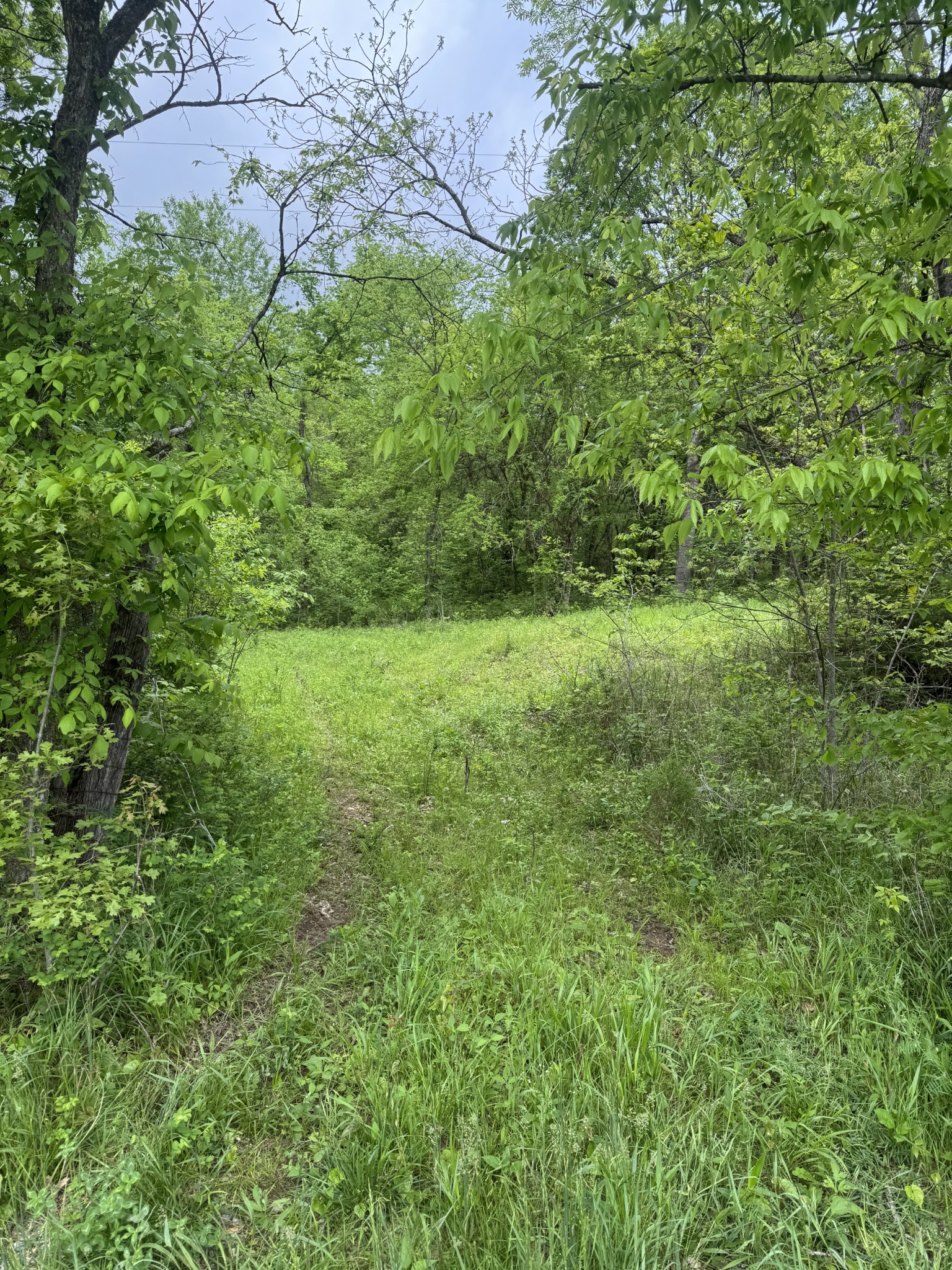 0 Panhandle Road