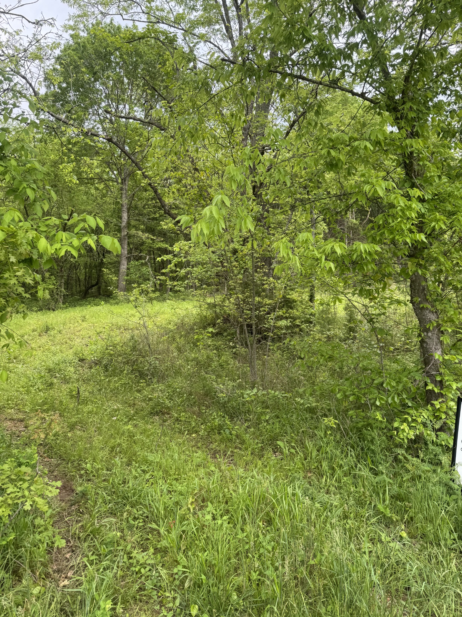 0 Panhandle Road