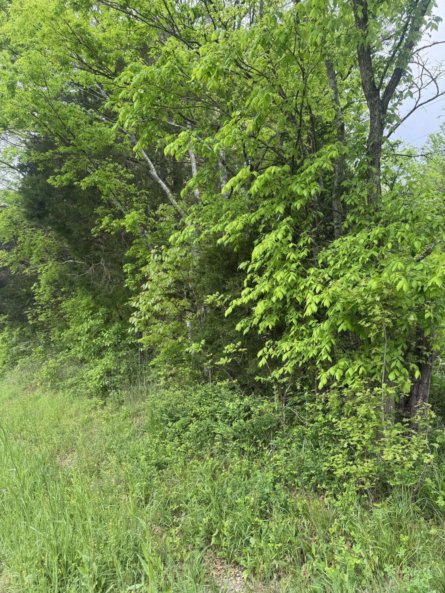 0 Panhandle Road