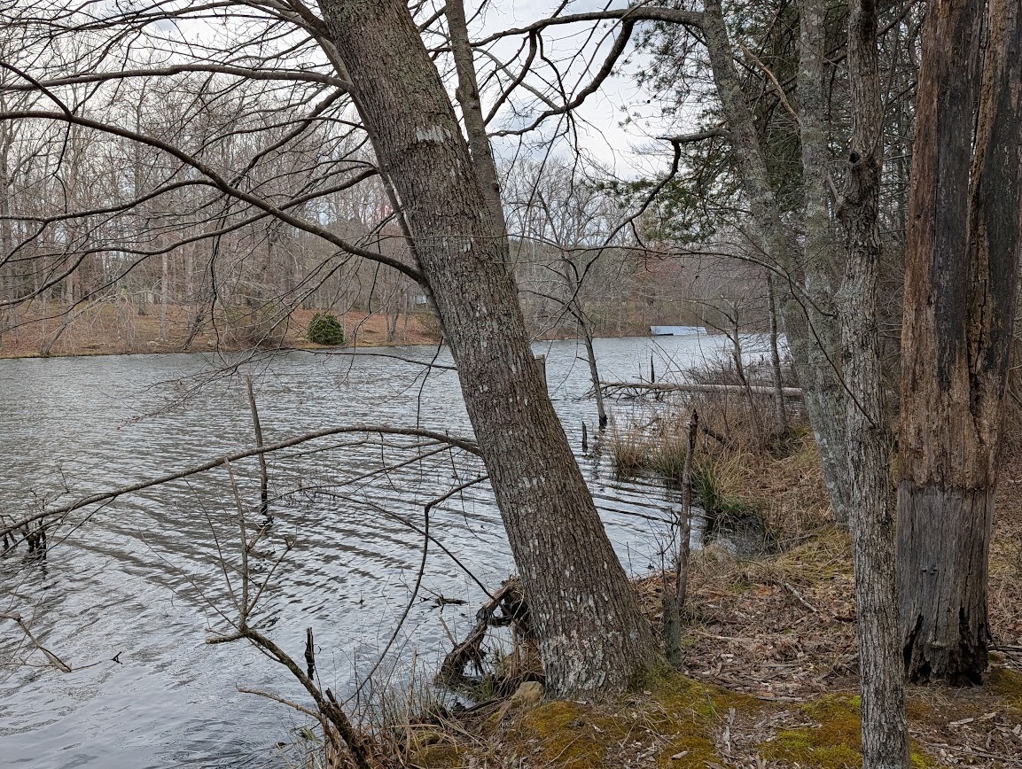 106 Lake View Dr