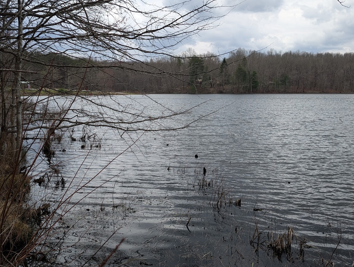 106 Lake View Dr