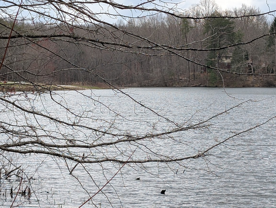 106 Lake View Dr