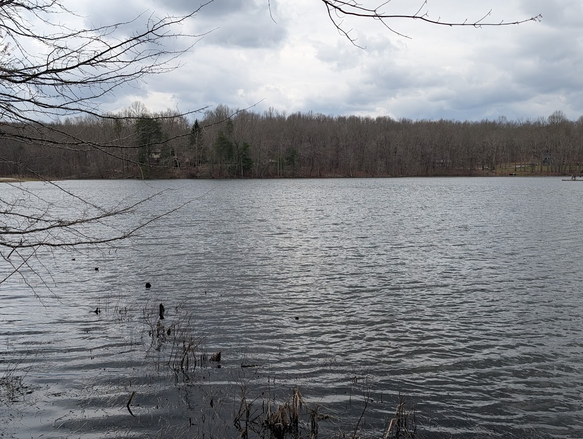 106 Lake View Dr