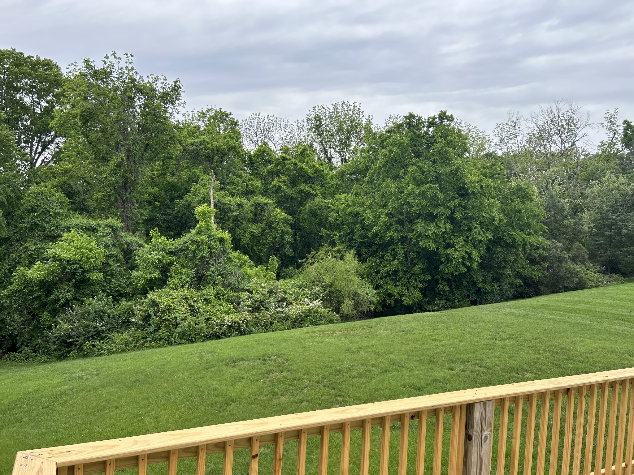 712 Sugar Mill Trl