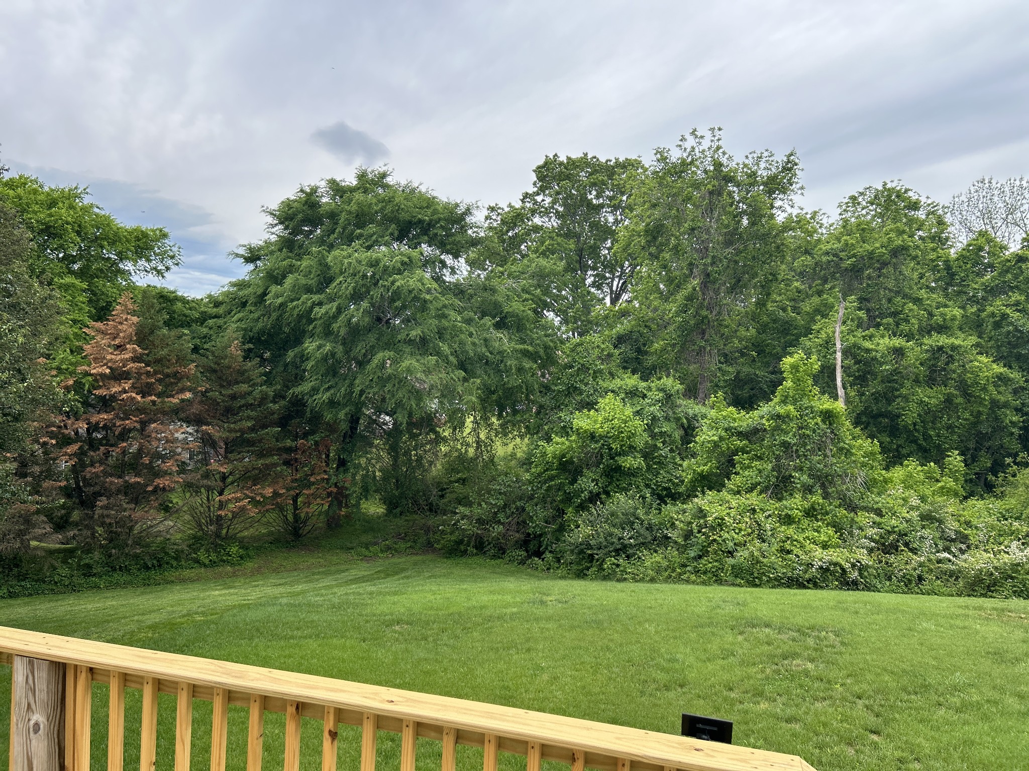 712 Sugar Mill Trl