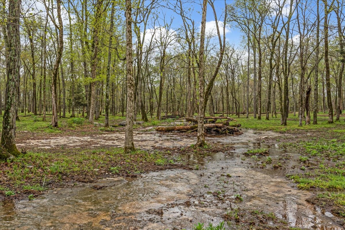 232 Paragon Dr