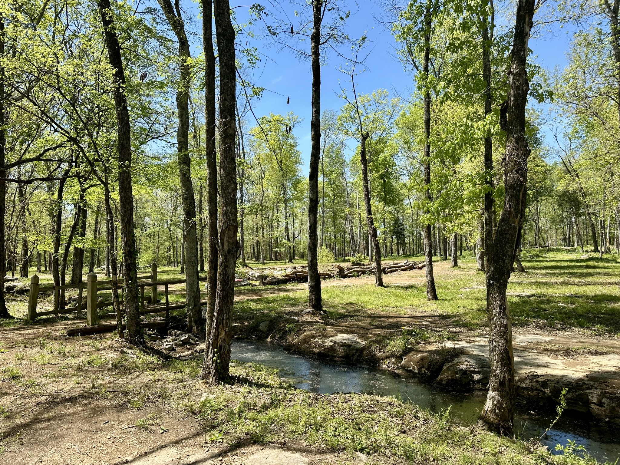 232 Paragon Dr