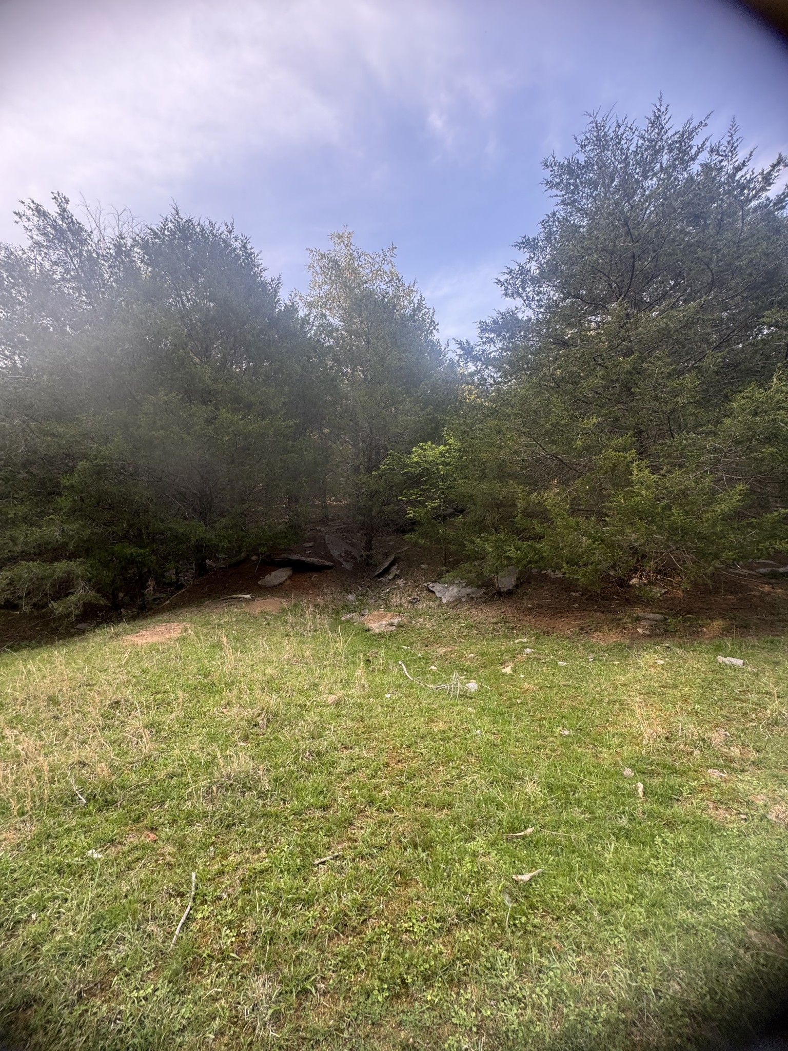 419 Tillman Hollow Rd