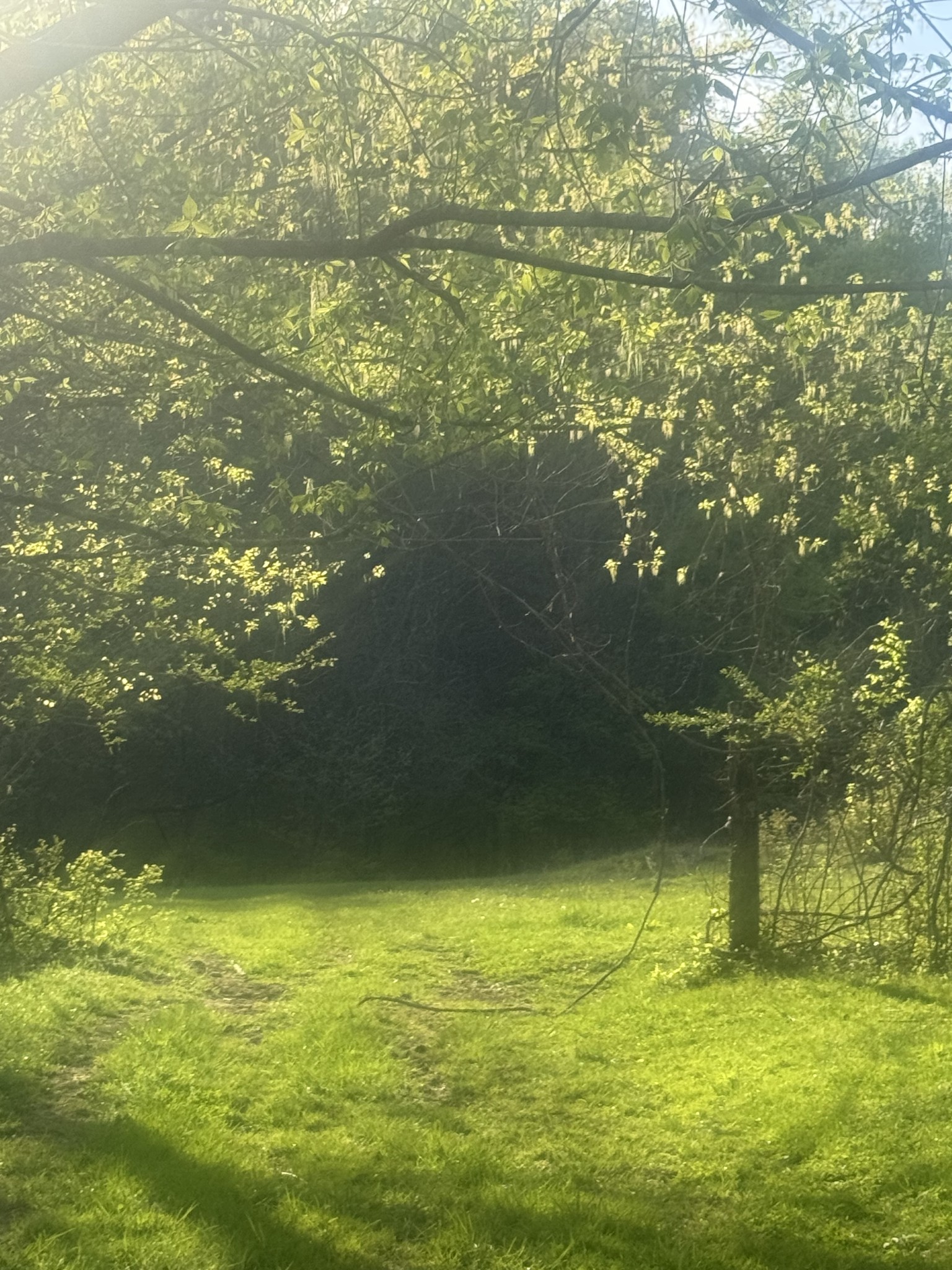419 Tillman Hollow Rd
