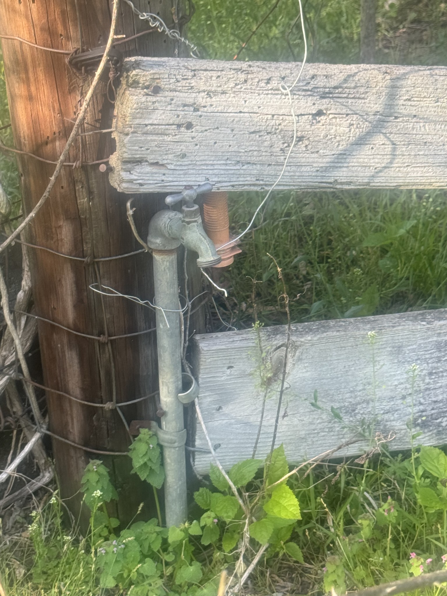 419 Tillman Hollow Rd
