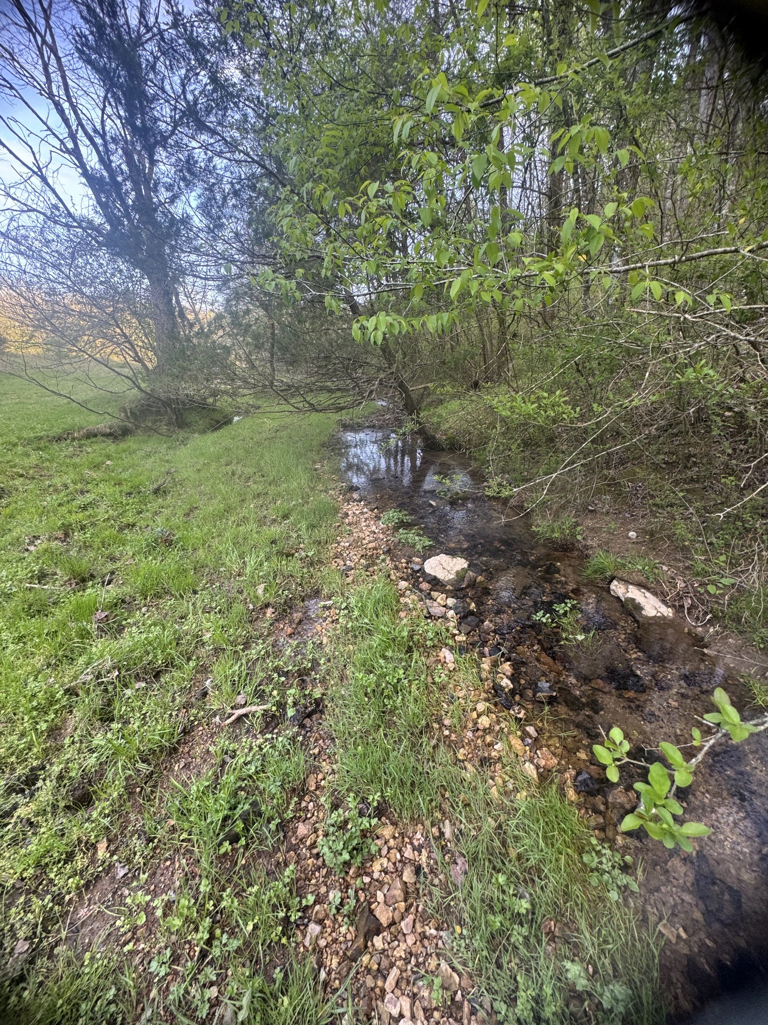 419 Tillman Hollow Rd