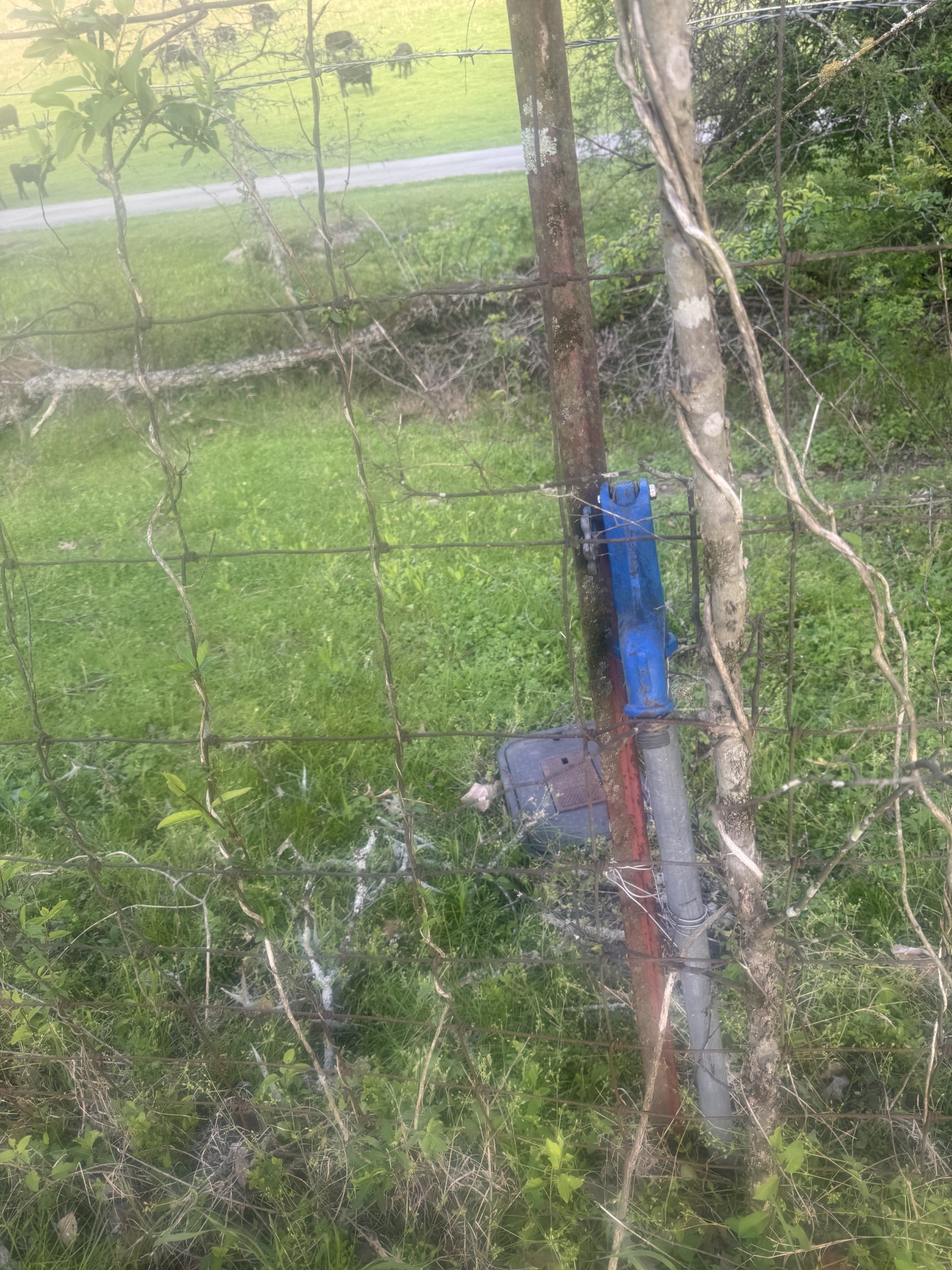 419 Tillman Hollow Rd