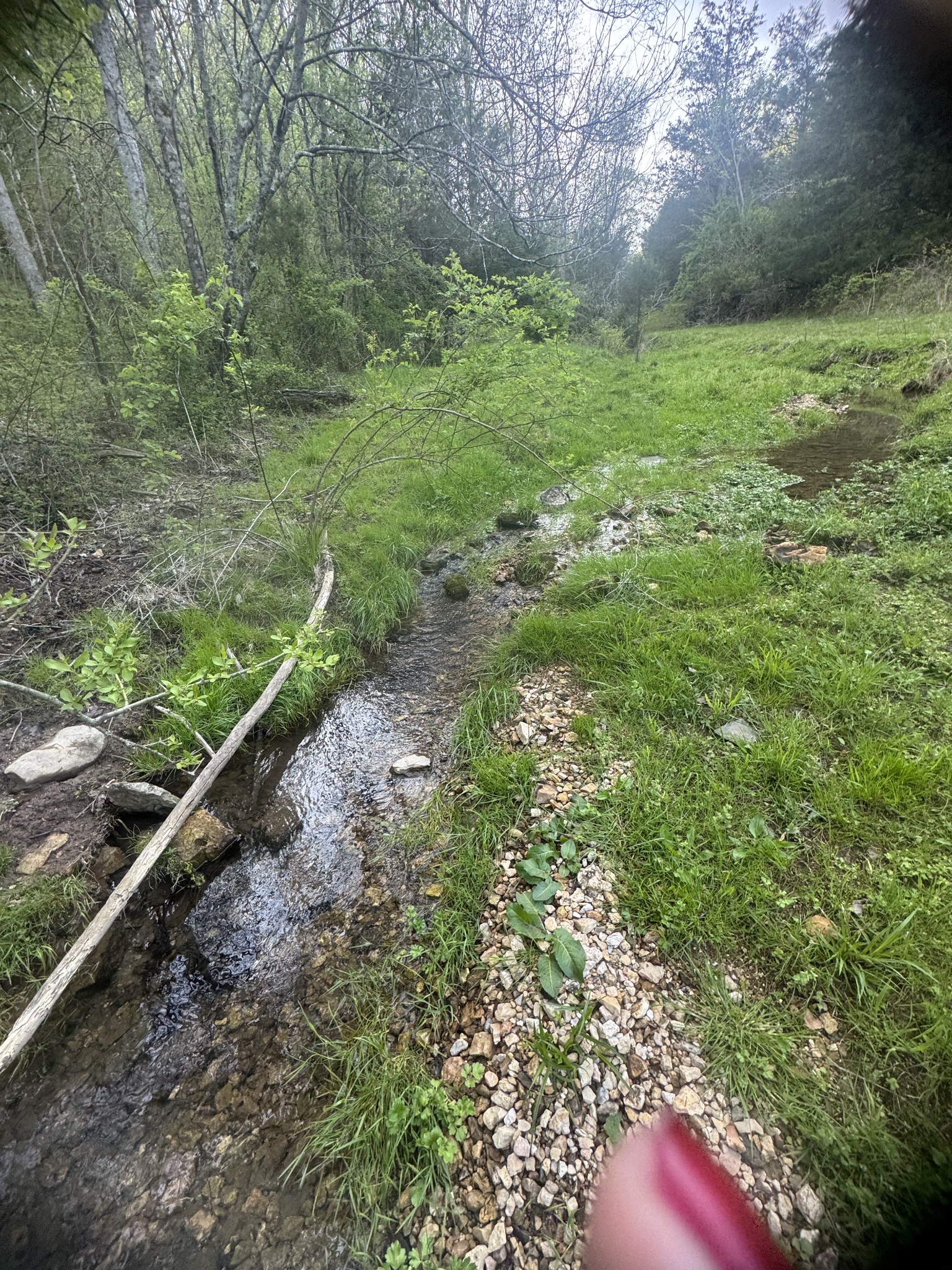 419 Tillman Hollow Rd