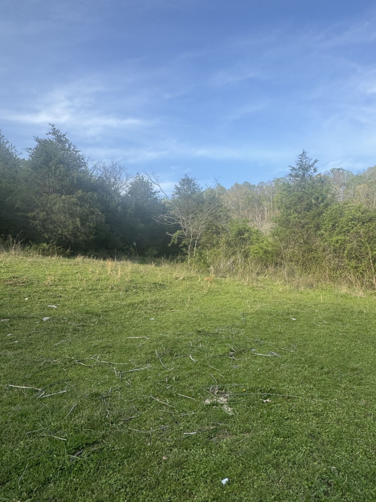 419 Tillman Hollow Rd