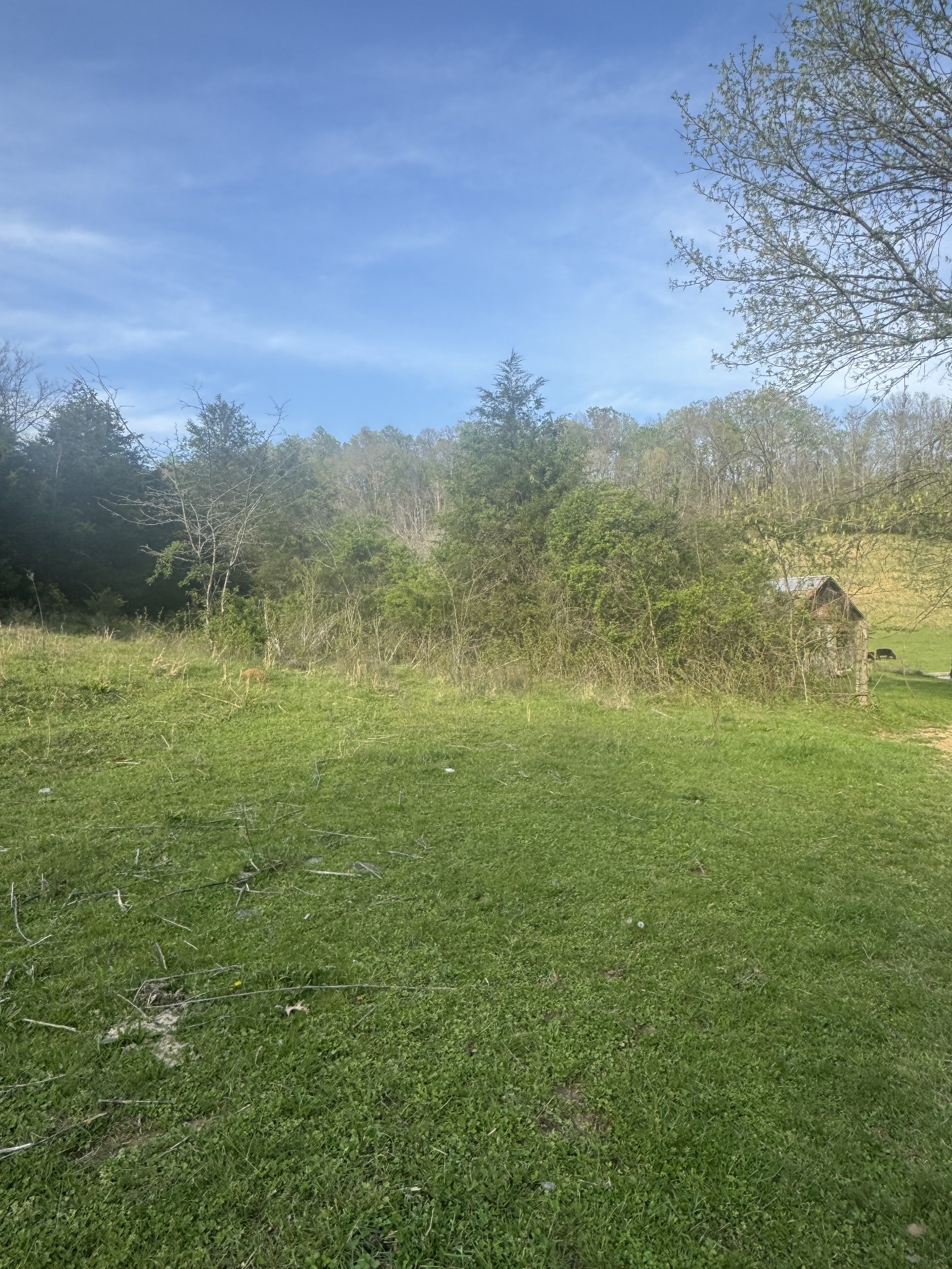 419 Tillman Hollow Rd