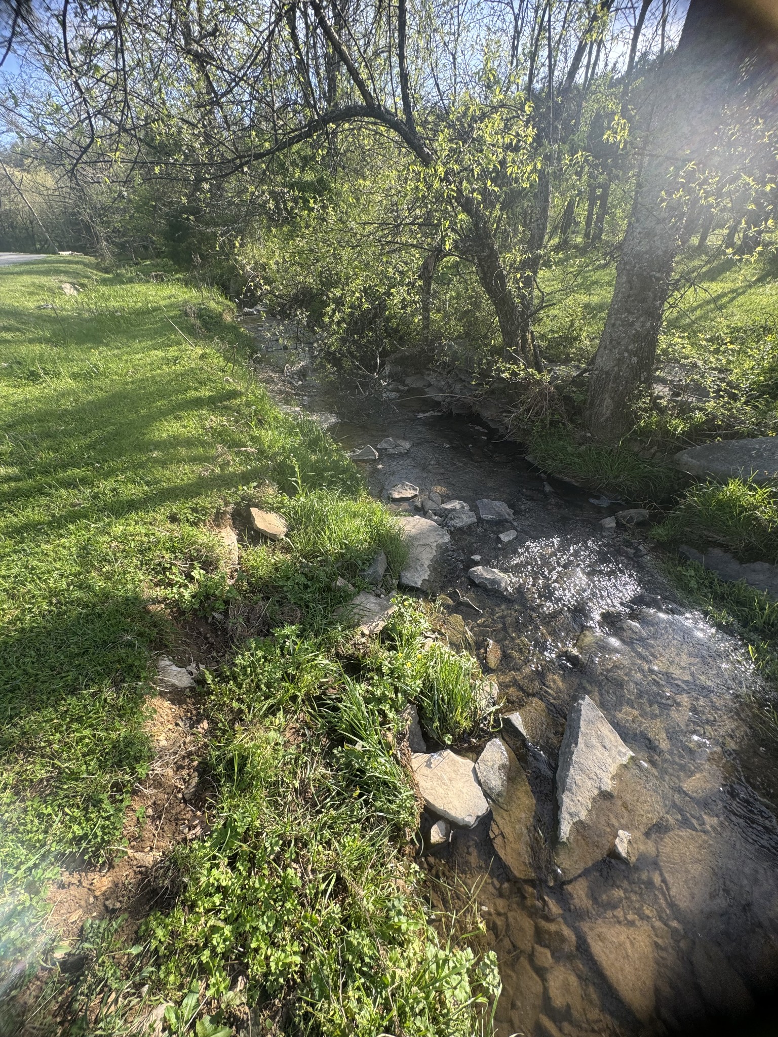 419 Tillman Hollow Rd