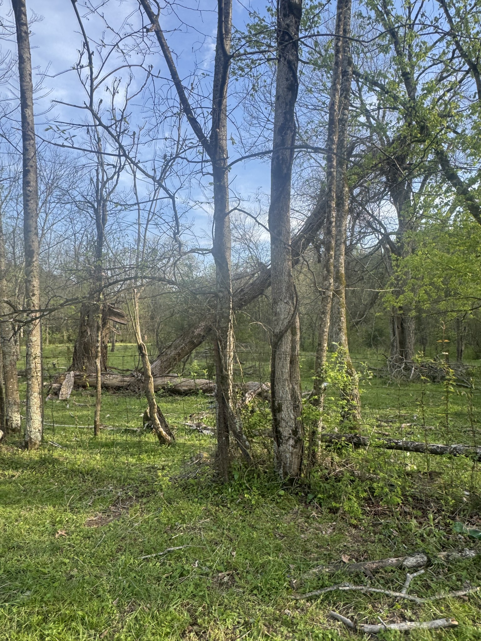 419 Tillman Hollow Rd
