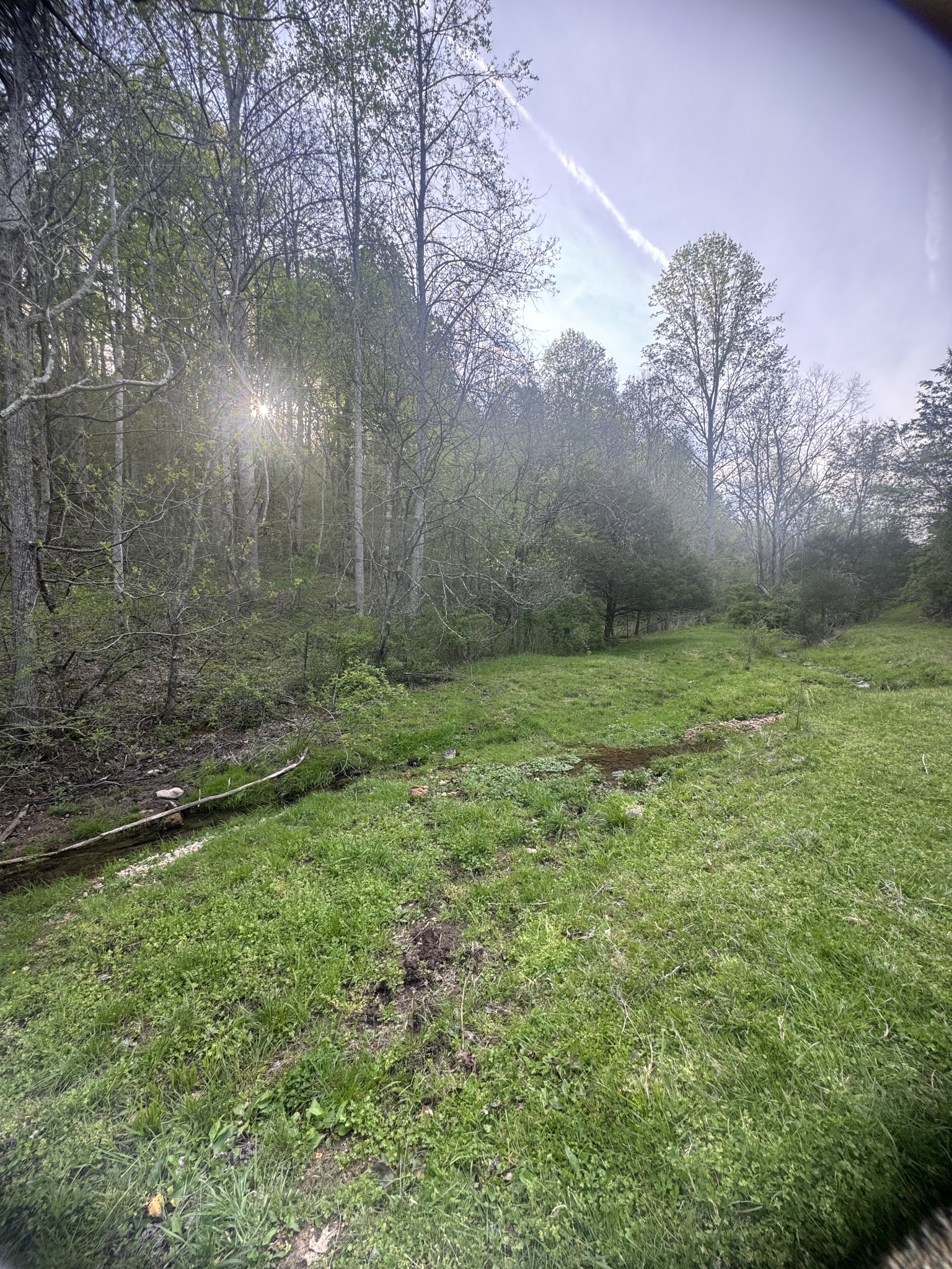 419 Tillman Hollow Rd