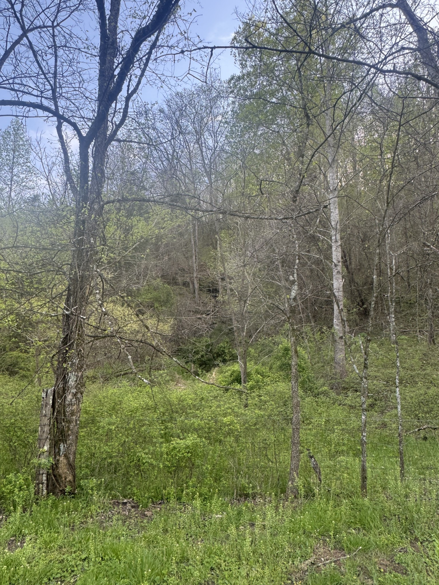 419 Tillman Hollow Rd