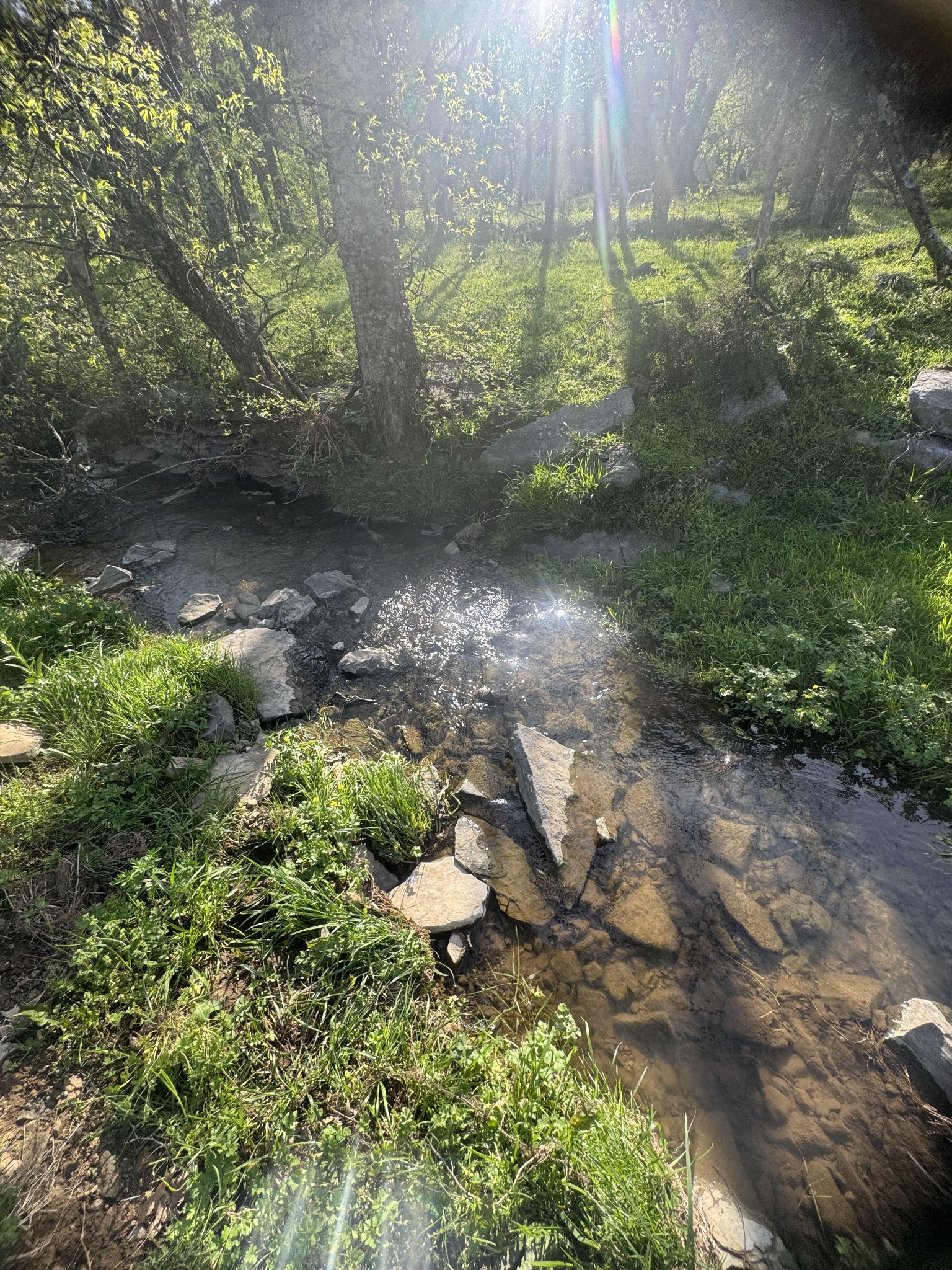 419 Tillman Hollow Rd